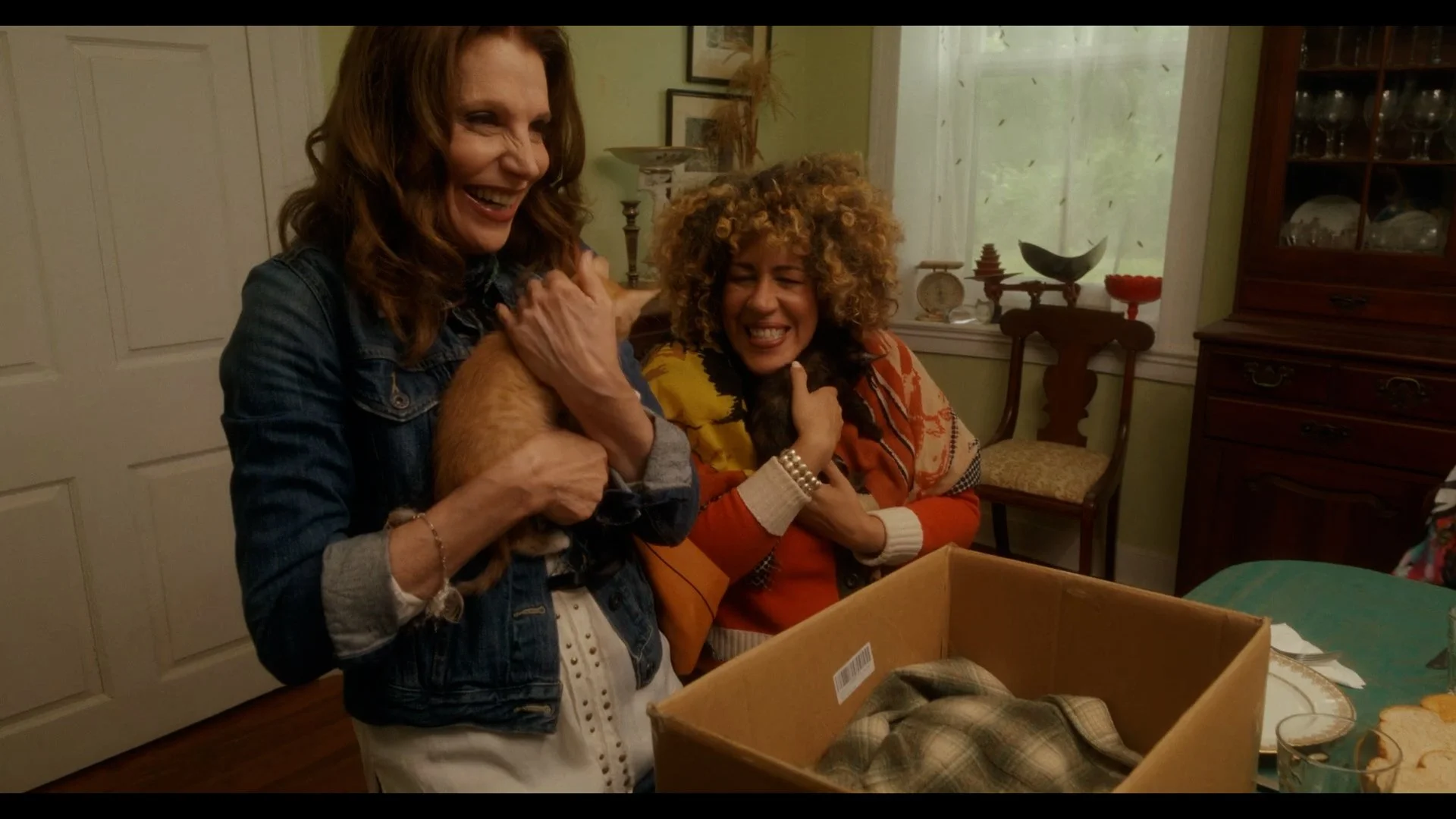 SPINSTERS - CATS.jpg