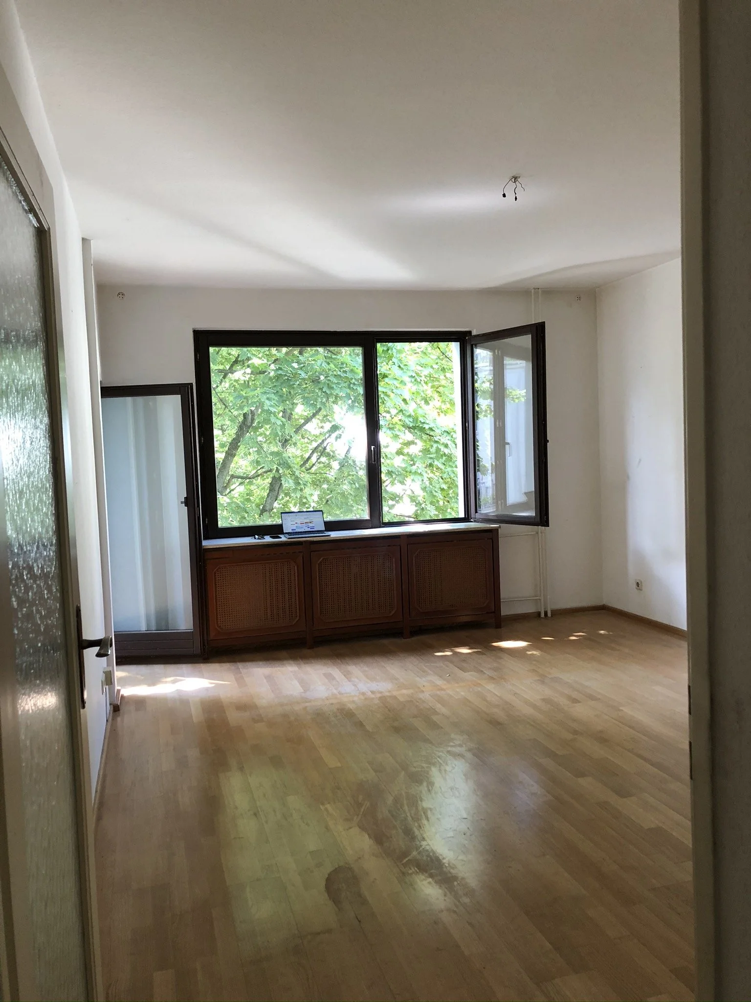 Leeres Wohnzimmer mit Holzboden, großen Fenstern und Blick auf Bäume draußen. Möbel fehlen, Wände sind weiß, Decke hat eine offene Leitung für eine Lampe.