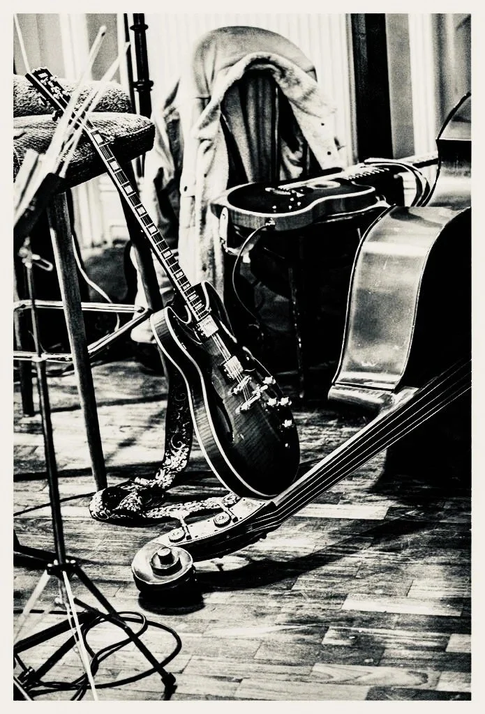 Electric guitar and double bass resting in a music room
