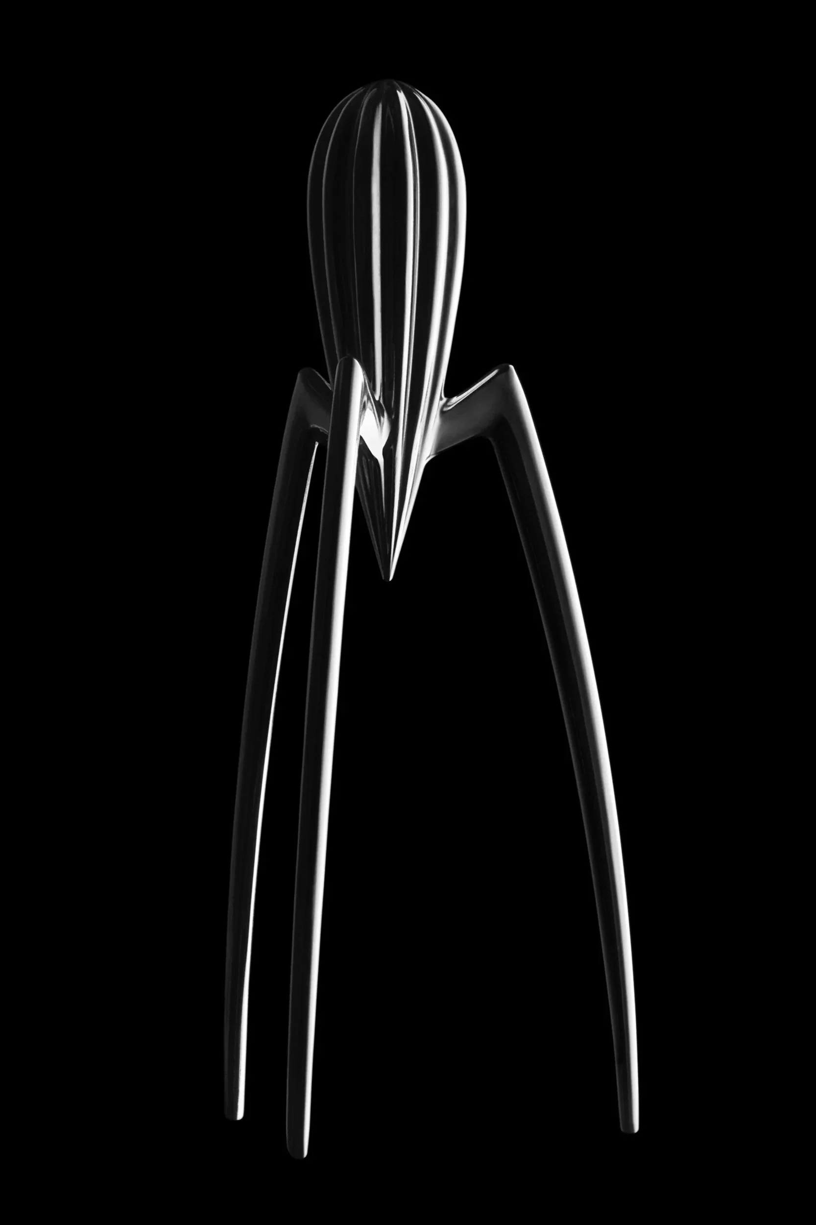 Alan-davies-creative-Fashion-007