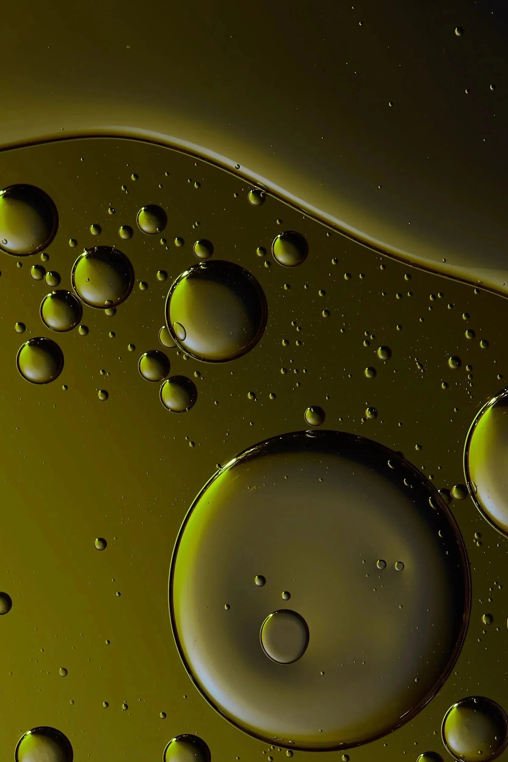 Alan-davies-creative-Fashion-012