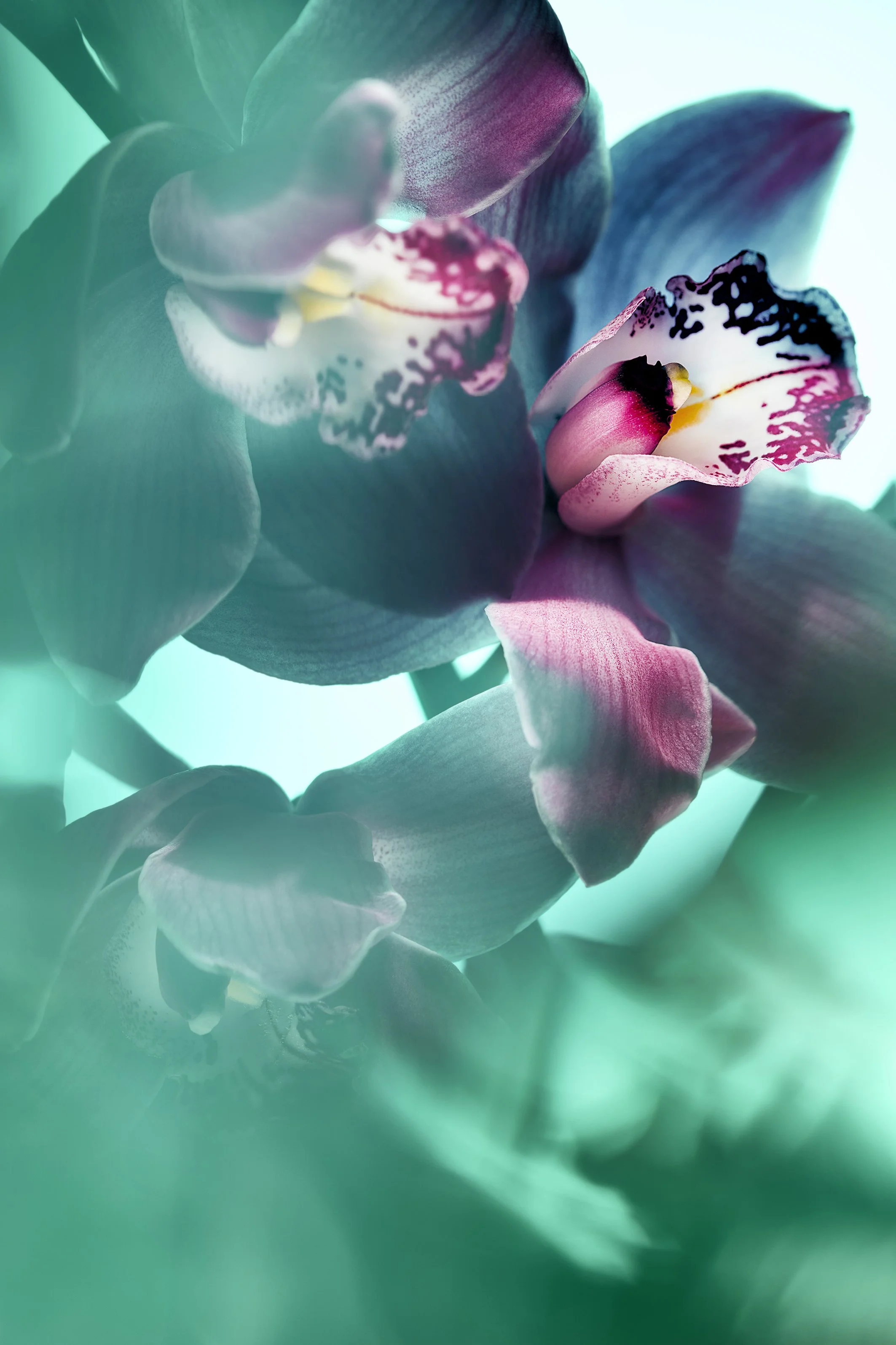 Alan-davies-creative-Fashion-031