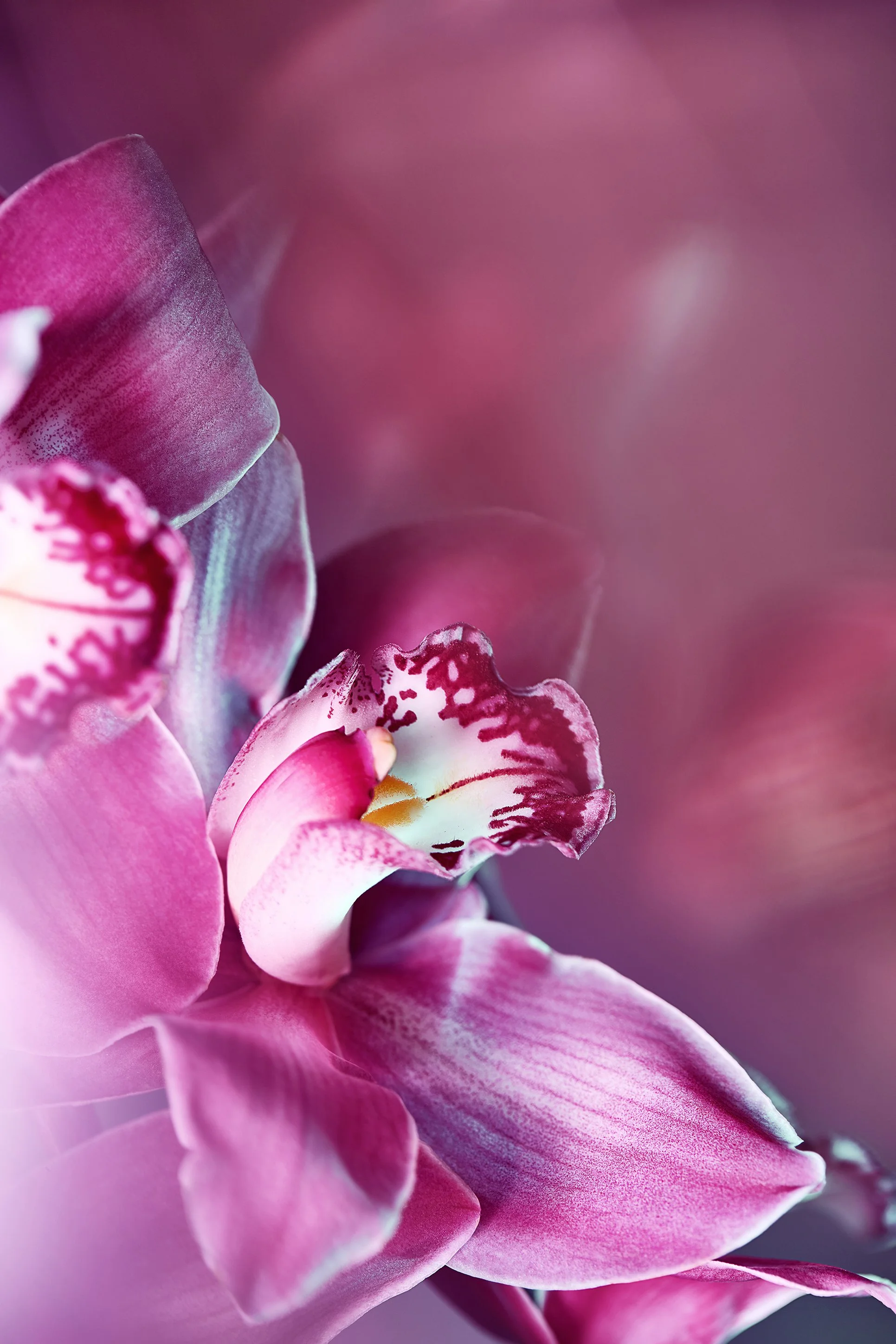 Alan-davies-creative-Fashion-030