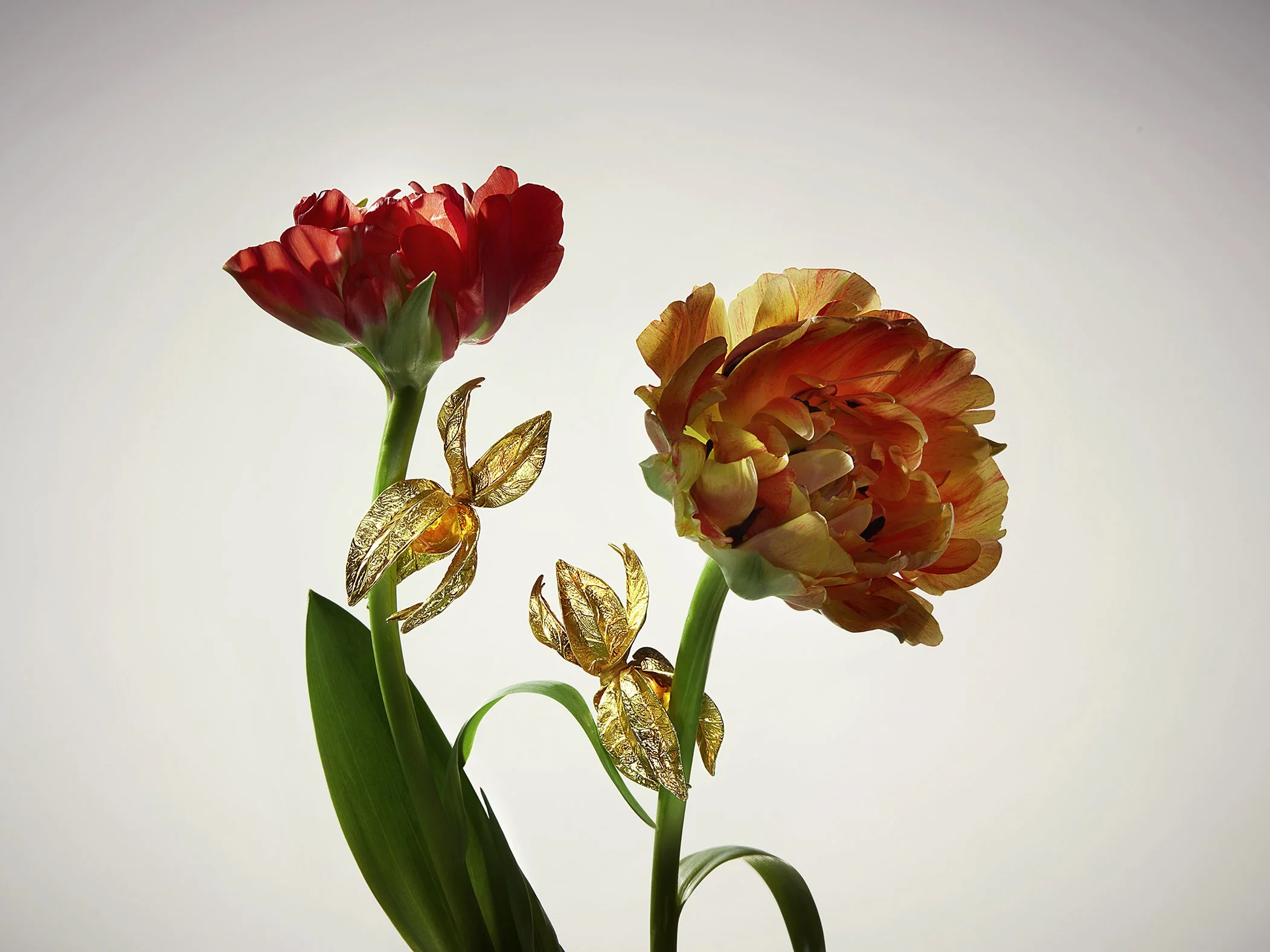 Alan-davies-creative-Fashion-063