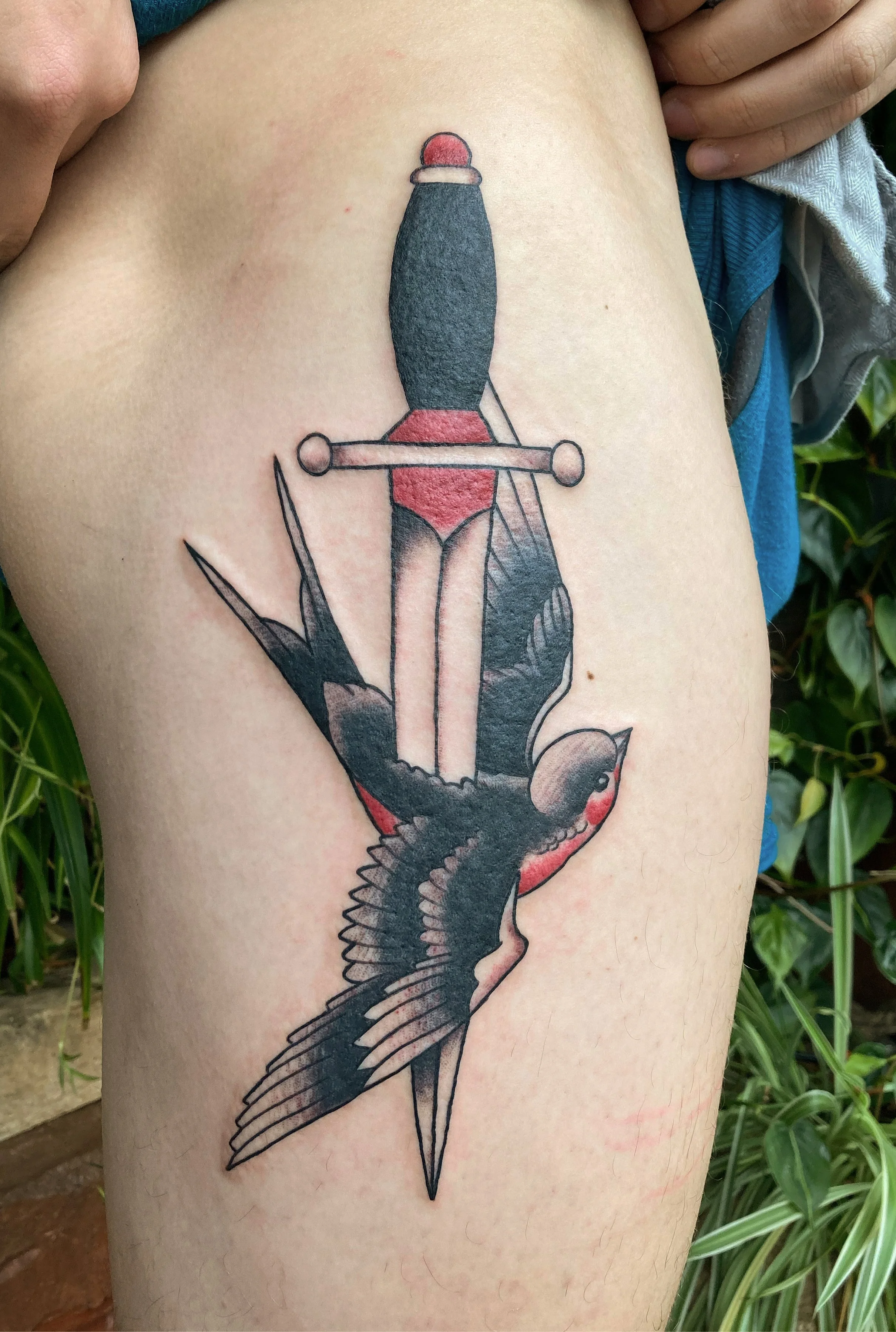 Tattoo of a swallow bird flying with a dagger.