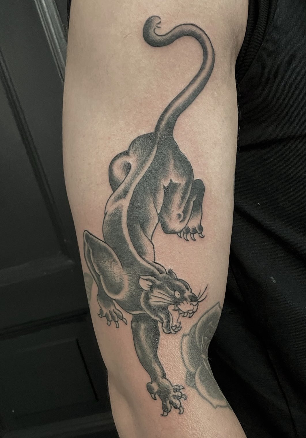 Black and gray tattoo of a fierce, snarling panther with claws extended, positioned on a person's arm.