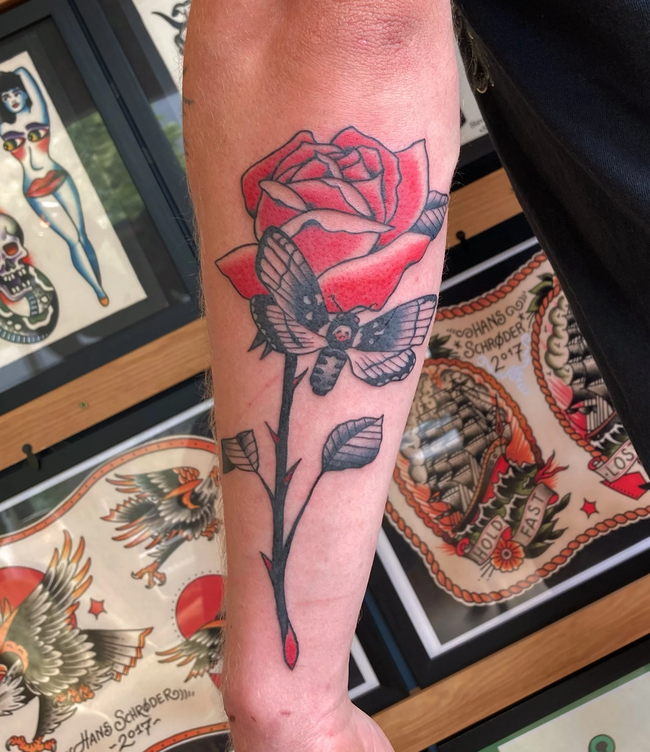 Tattoo of a red rose with a black and pink moth hanging from it on a person's arm, with tattoo flash art in the background.