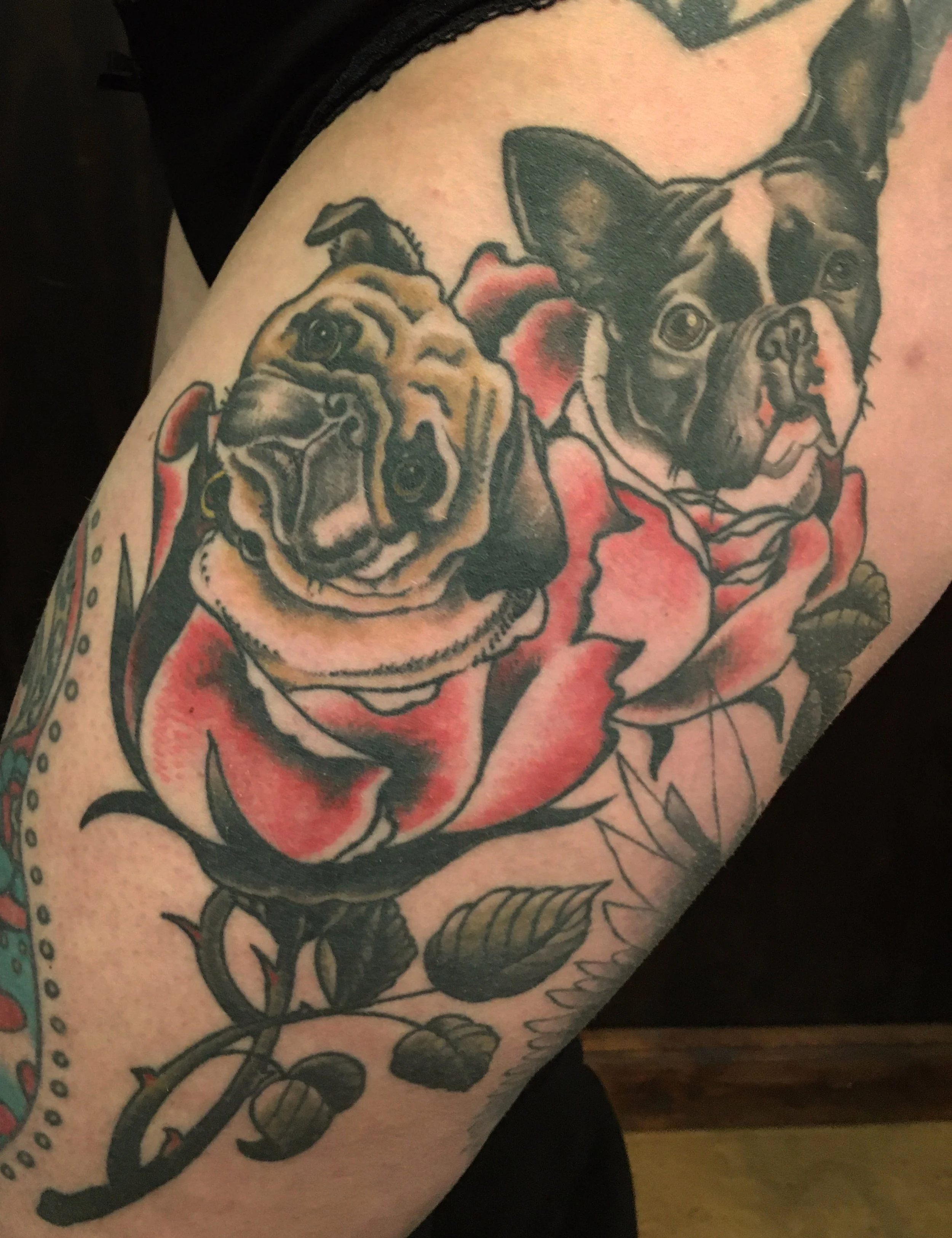 Tattoo of two bulldogs inside a rose surrounded by leaves.