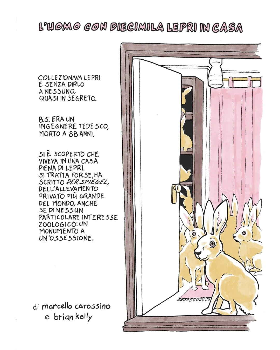 A cartoon illustration of a doorway with several rabbits inside, peeking out and sitting on the floor. Pink curtains hang beside the doorway. The text in Italian above and to the left describes a man who collected leporids secretly, was an engineer, 