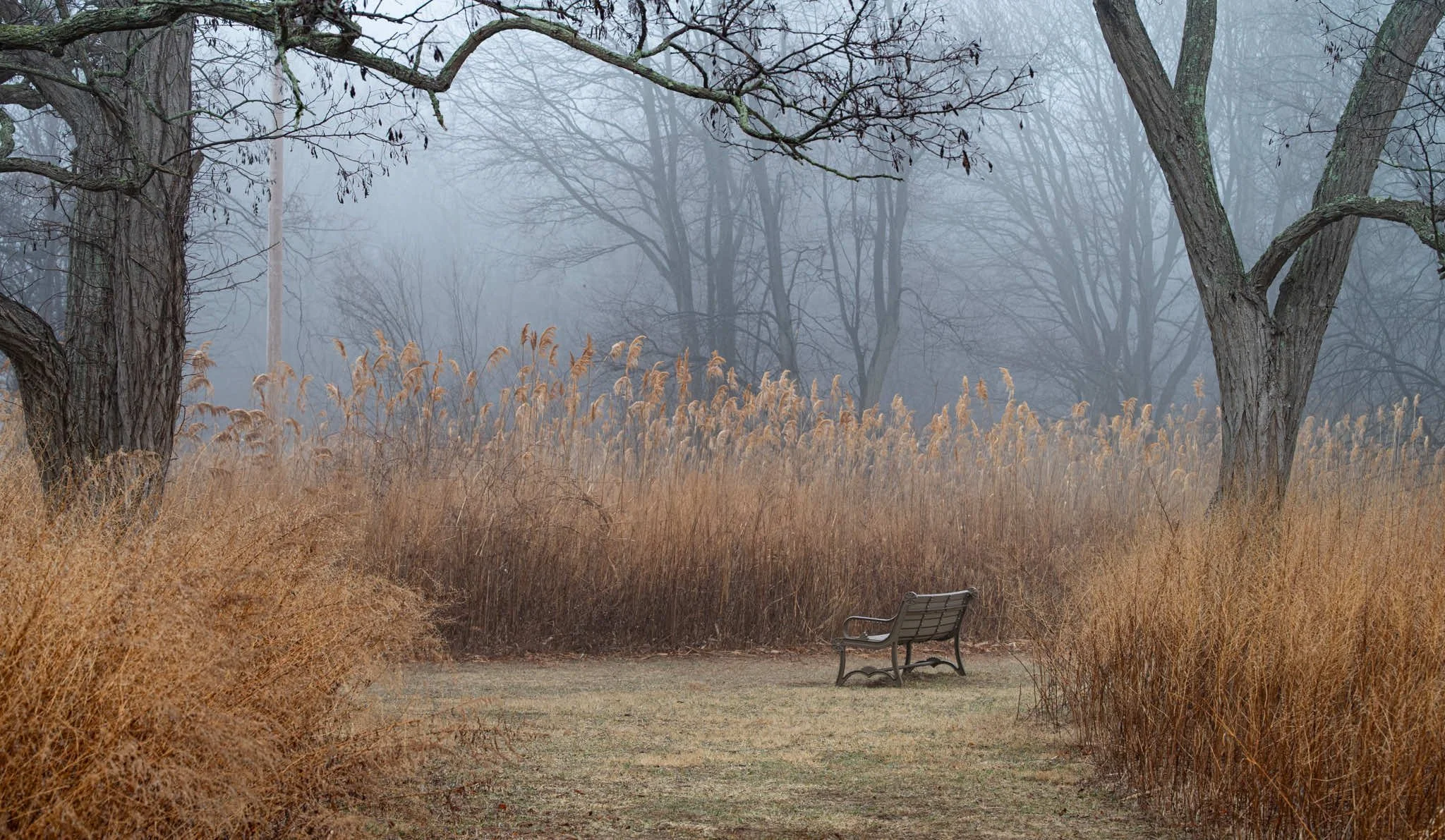 12_DSC_6613 copy.jpg