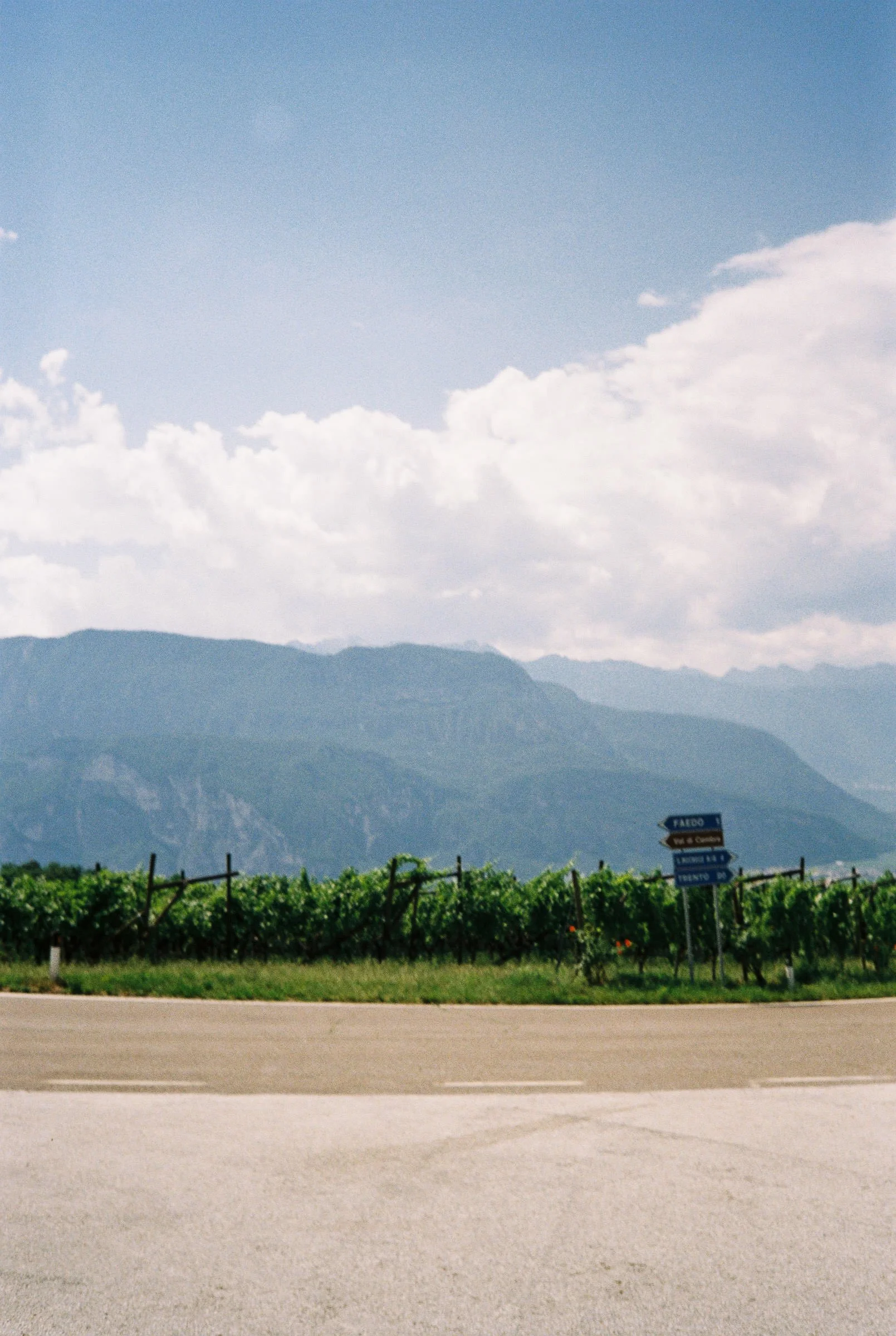 Blick auf einen Weinberg mit Bergen im Hintergrund, gelbe Wegweiser und eine Straße im Vordergrund, sonniger Tag mit Wolken am Himmel.