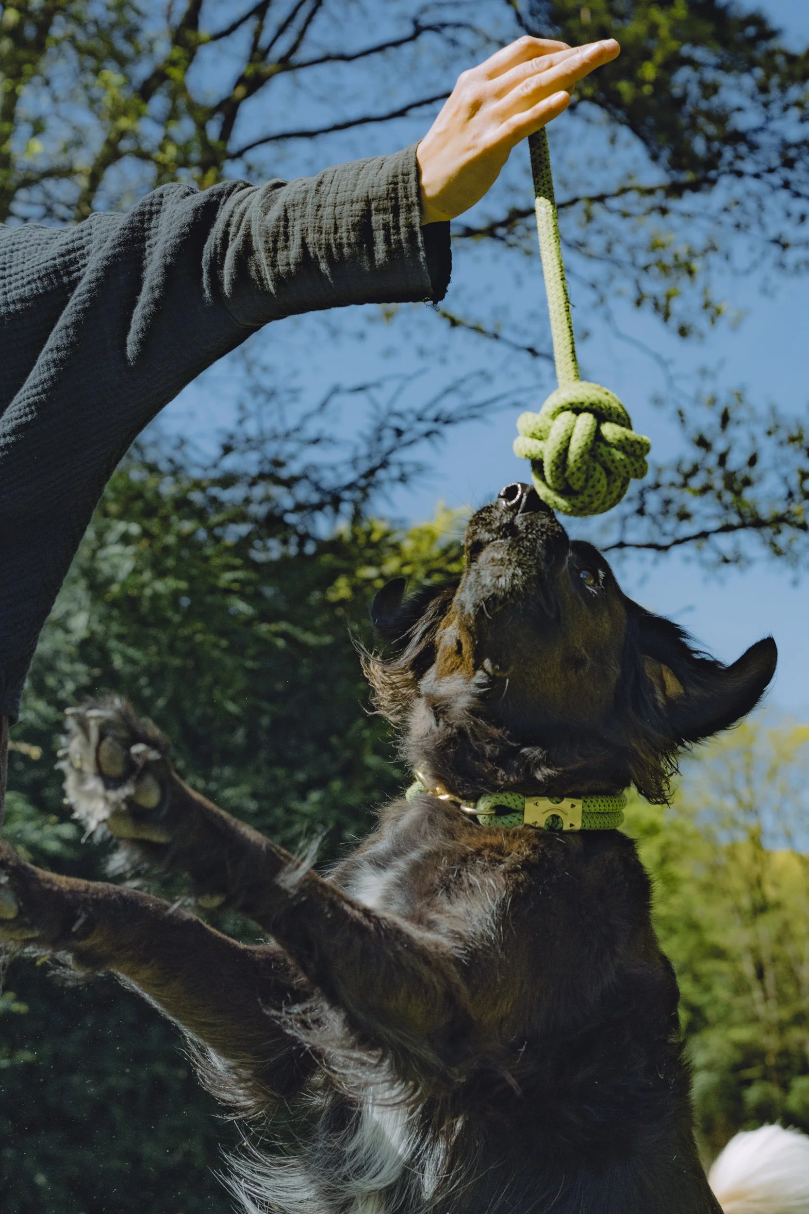 Schleuder-Ball