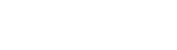 Fungi Vita