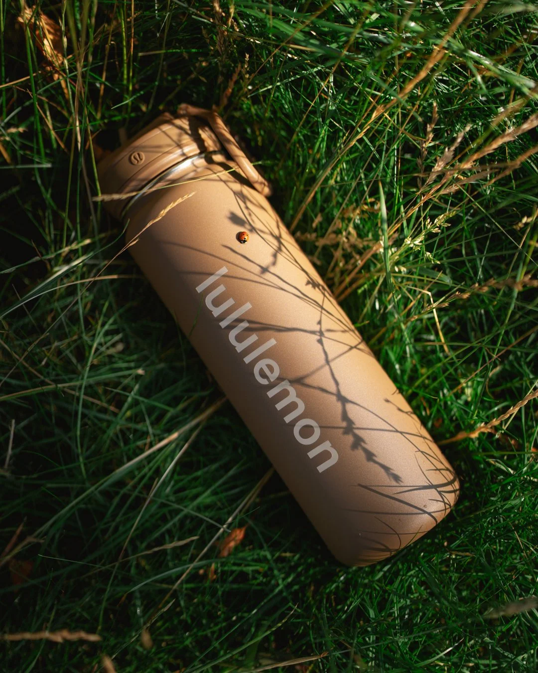 A beige water bottle lying on grass, with a small ladybug on its surface and shadows of grass blades cast on it.