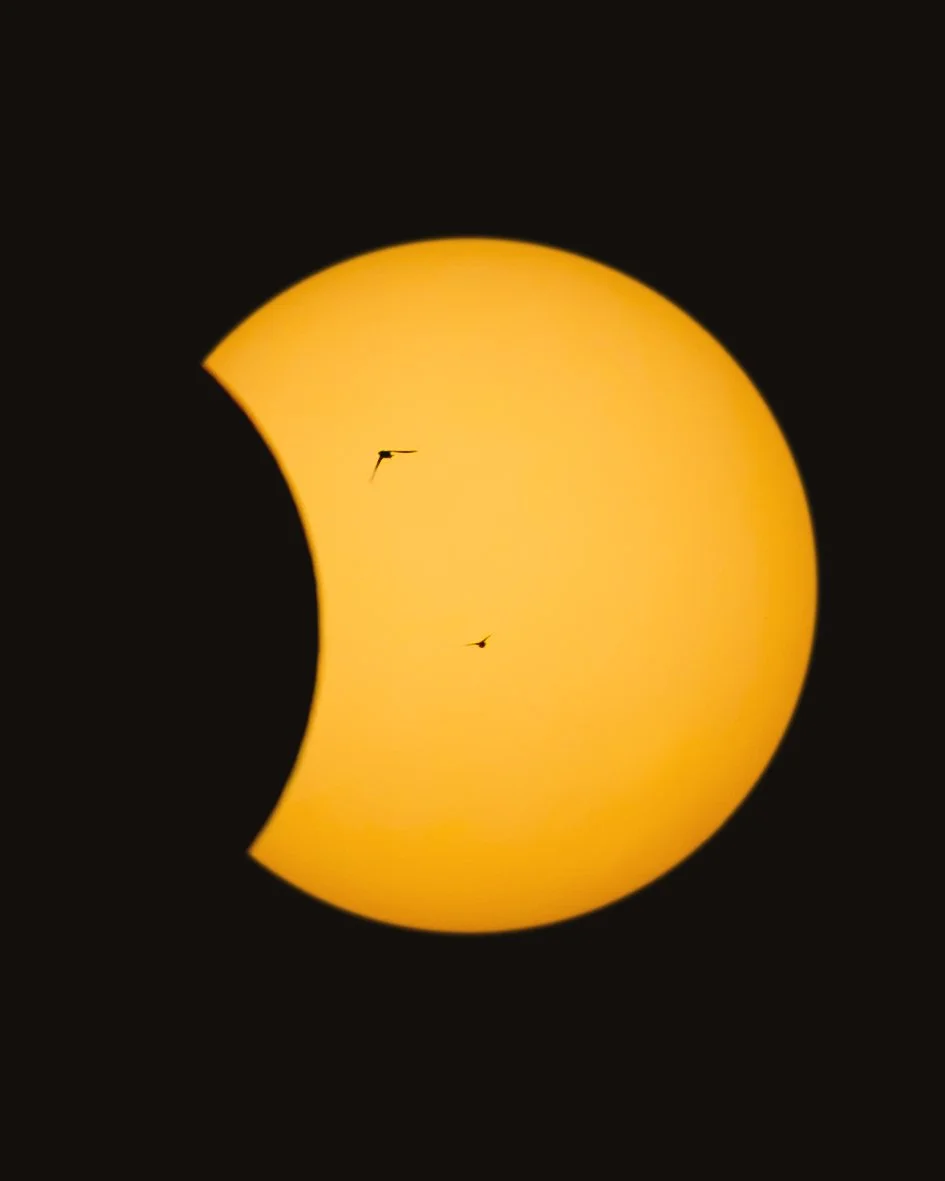 2026-08-12_Solar_Eclipse__1125.jpg