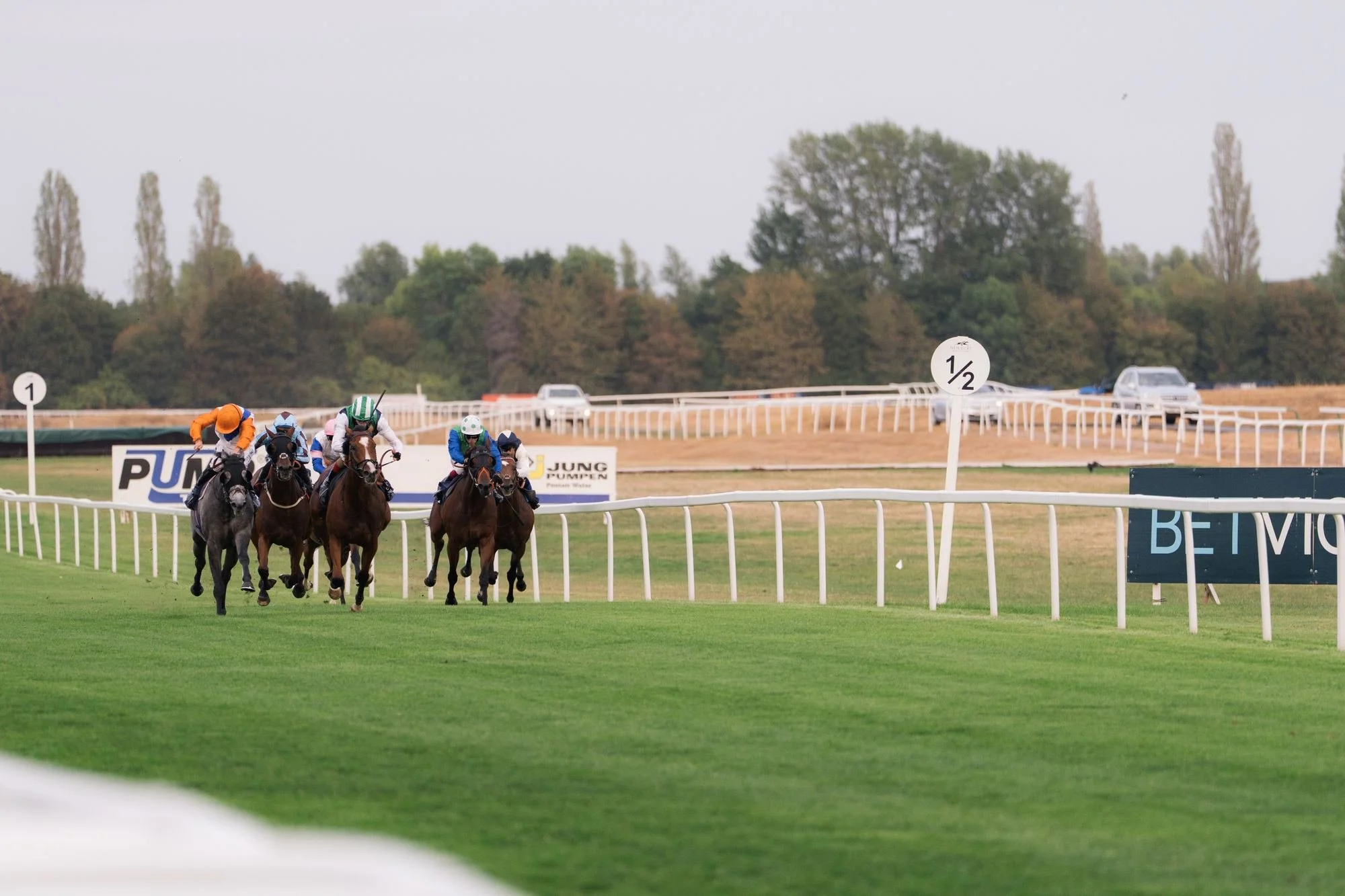 newbury-racecourse-family-raceday-2550.jpg