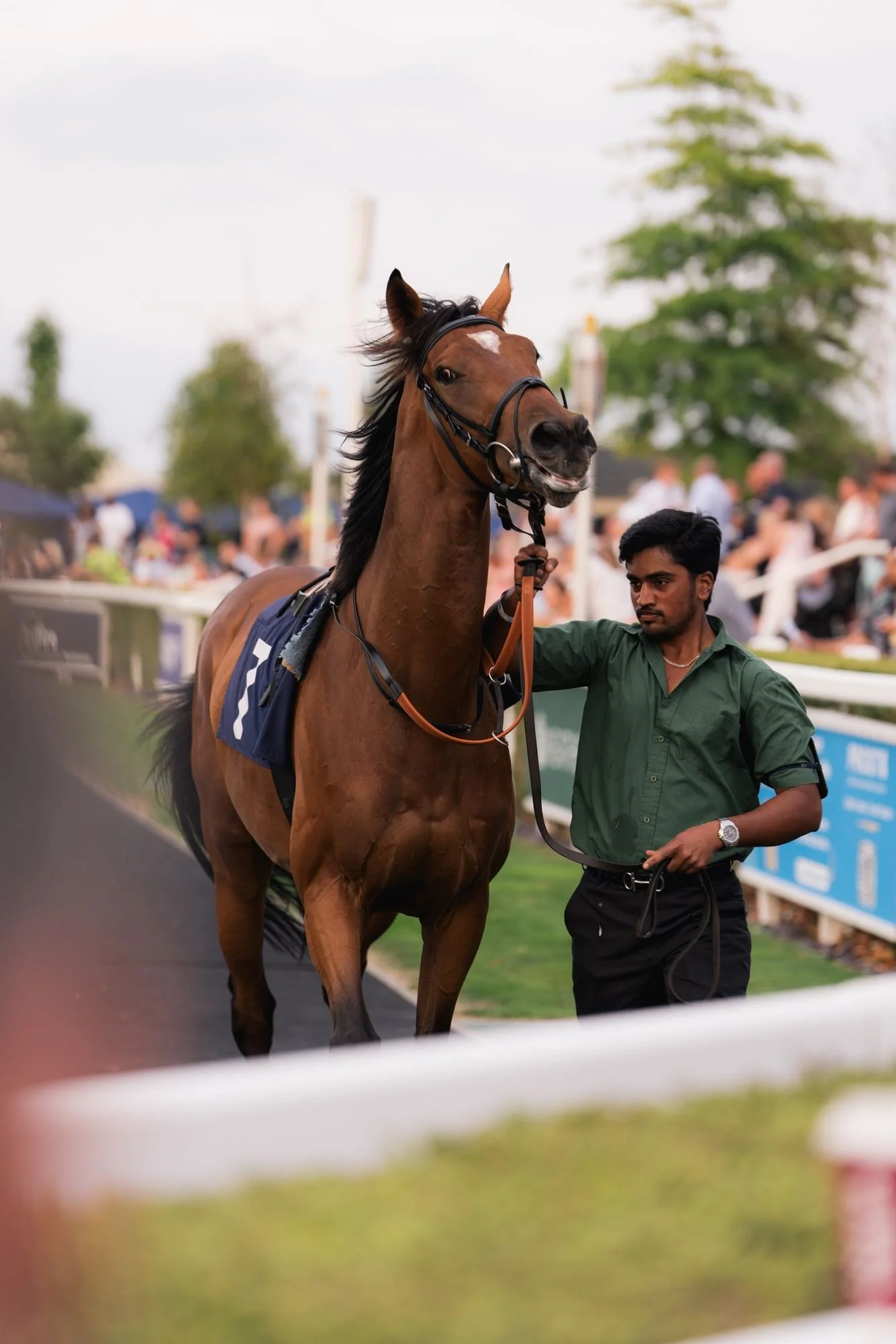 newbury-racecourse-family-raceday-2377.jpg