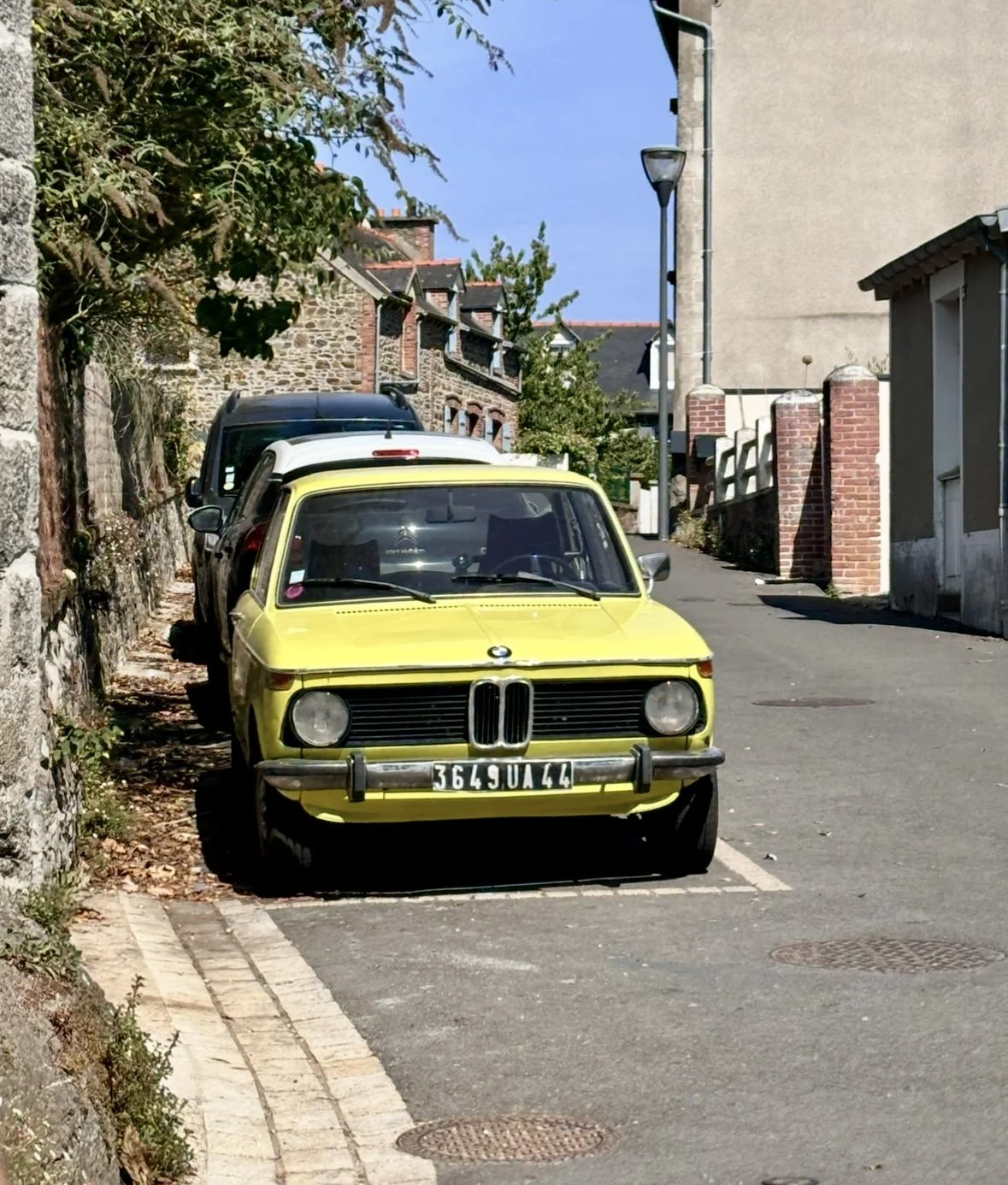 IMG_2754.jpg