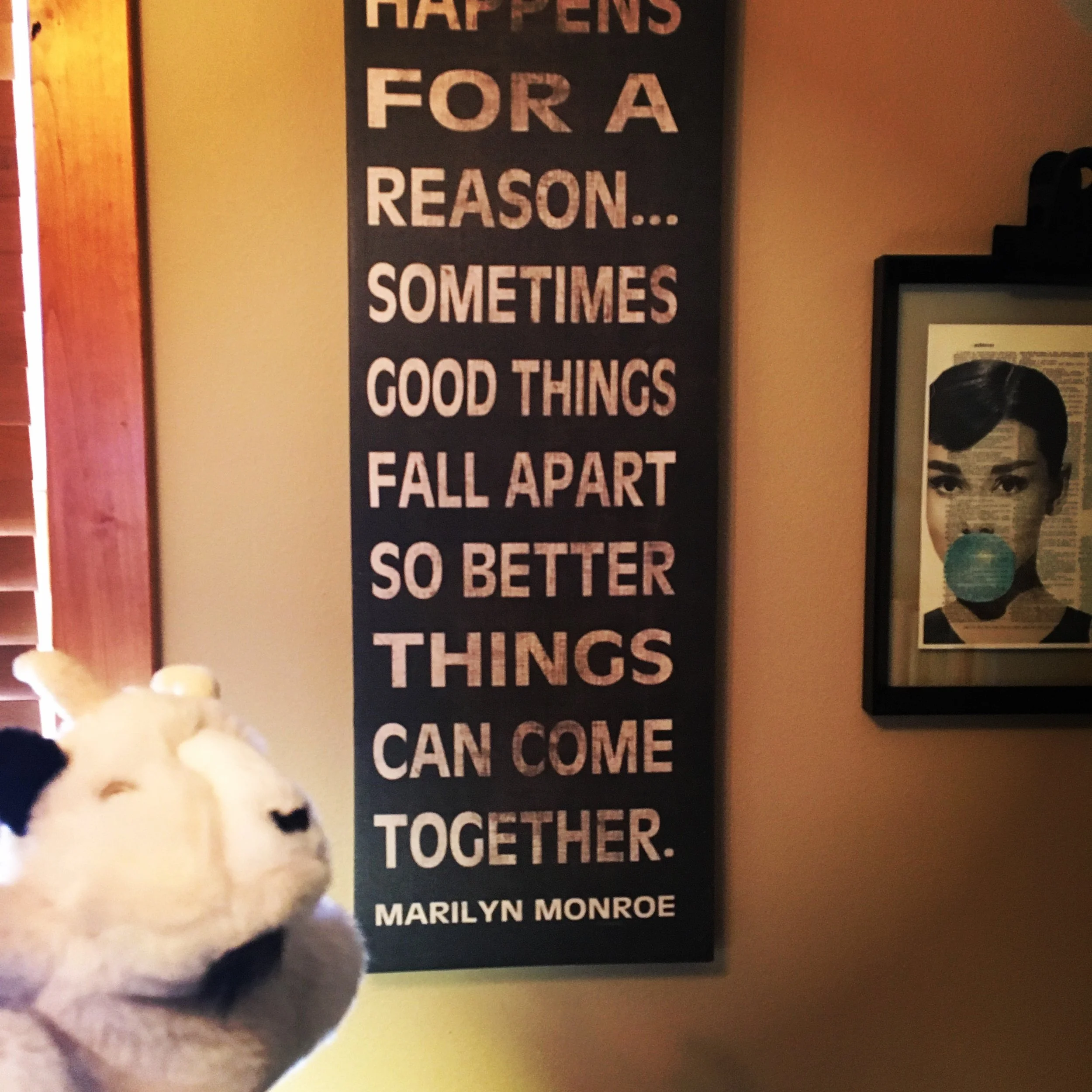 A New Chapter: Choosing Alignment, Energy, and Work That Feels Right