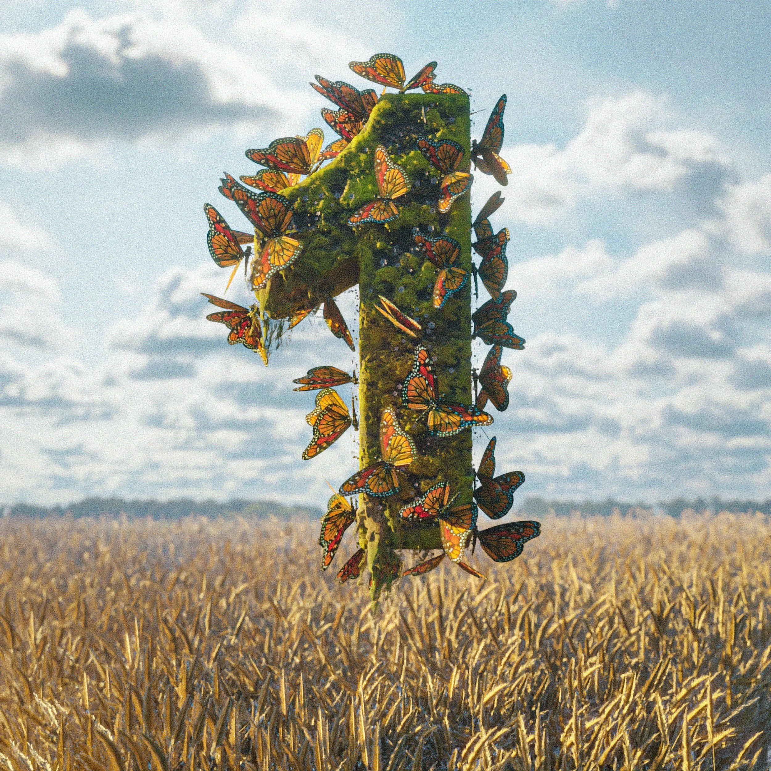 My first newsletter! Bringing Clarity to Your Marketing