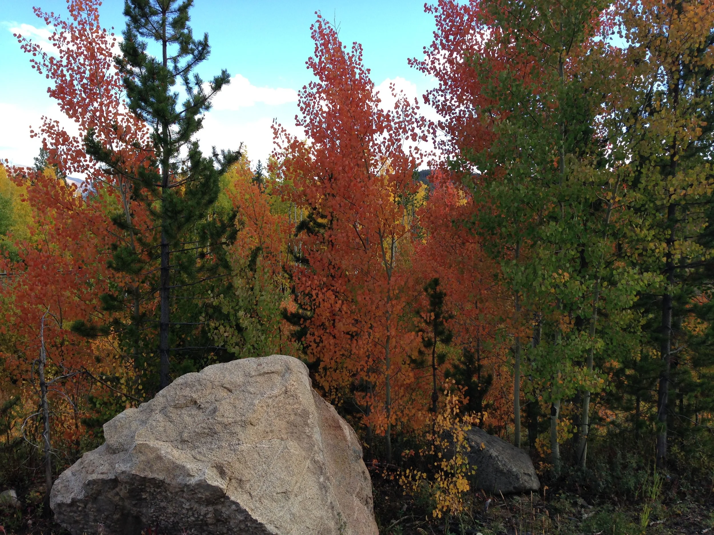 Fall Color Watch 2026: End of September for Southern Colorado