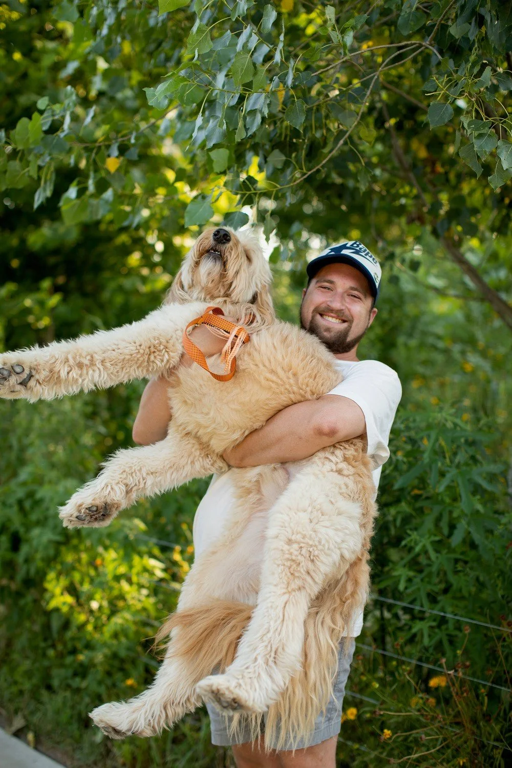 Miles Zeligson Woof Pack Dog Walker Sitter Doodles Gathering Place Midtwon