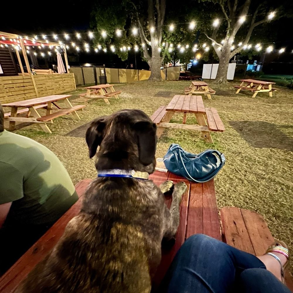 Moving to Midtown Tulsa with your dog? Parks, neighborhoods and community.