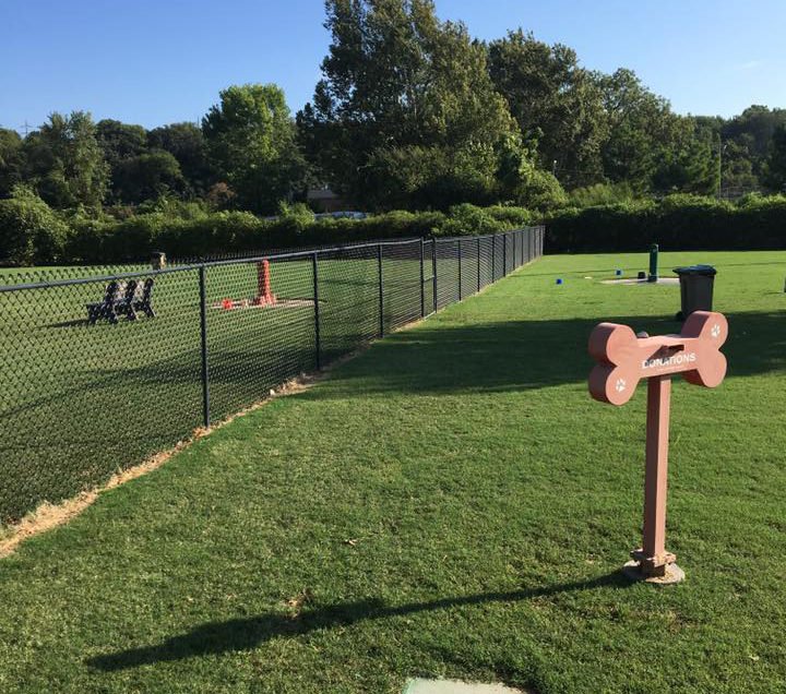 Dog Park Regular? Why You Still Need a Dog Walker