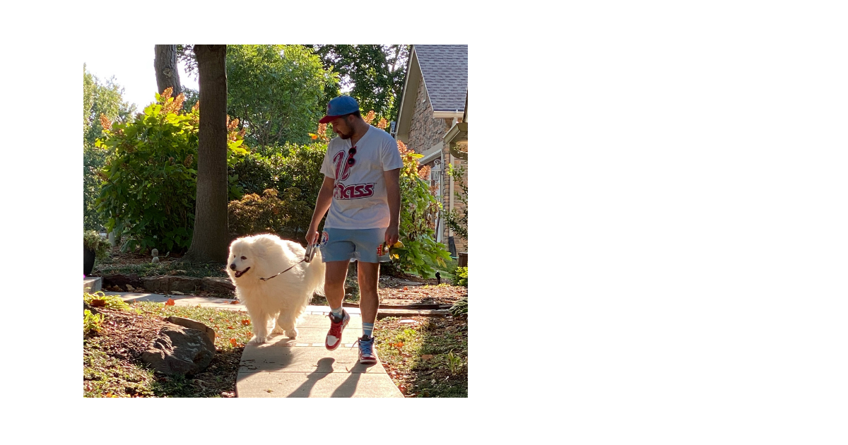 What to look for in your dog walker