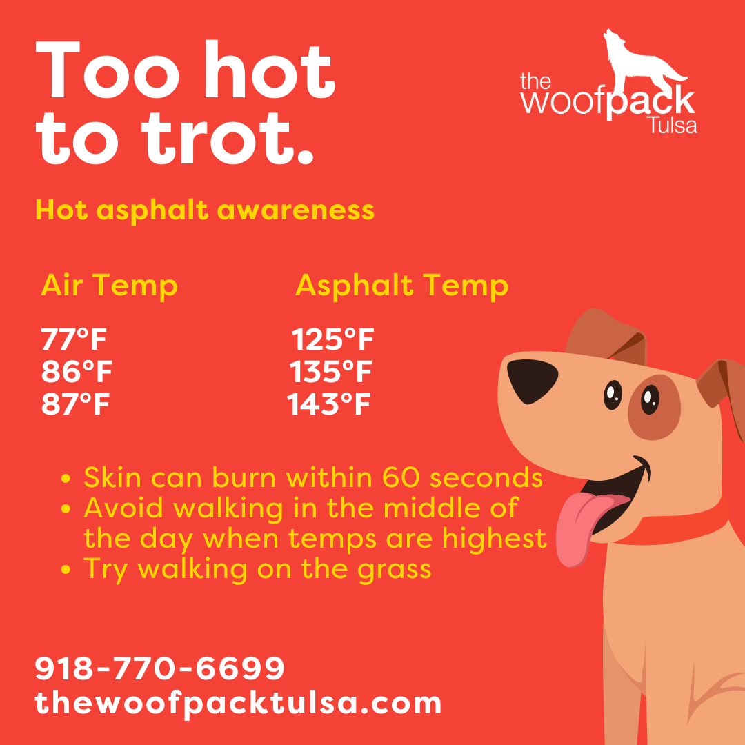 How Hot Is Too Hot to Walk Your Dog in Tulsa?