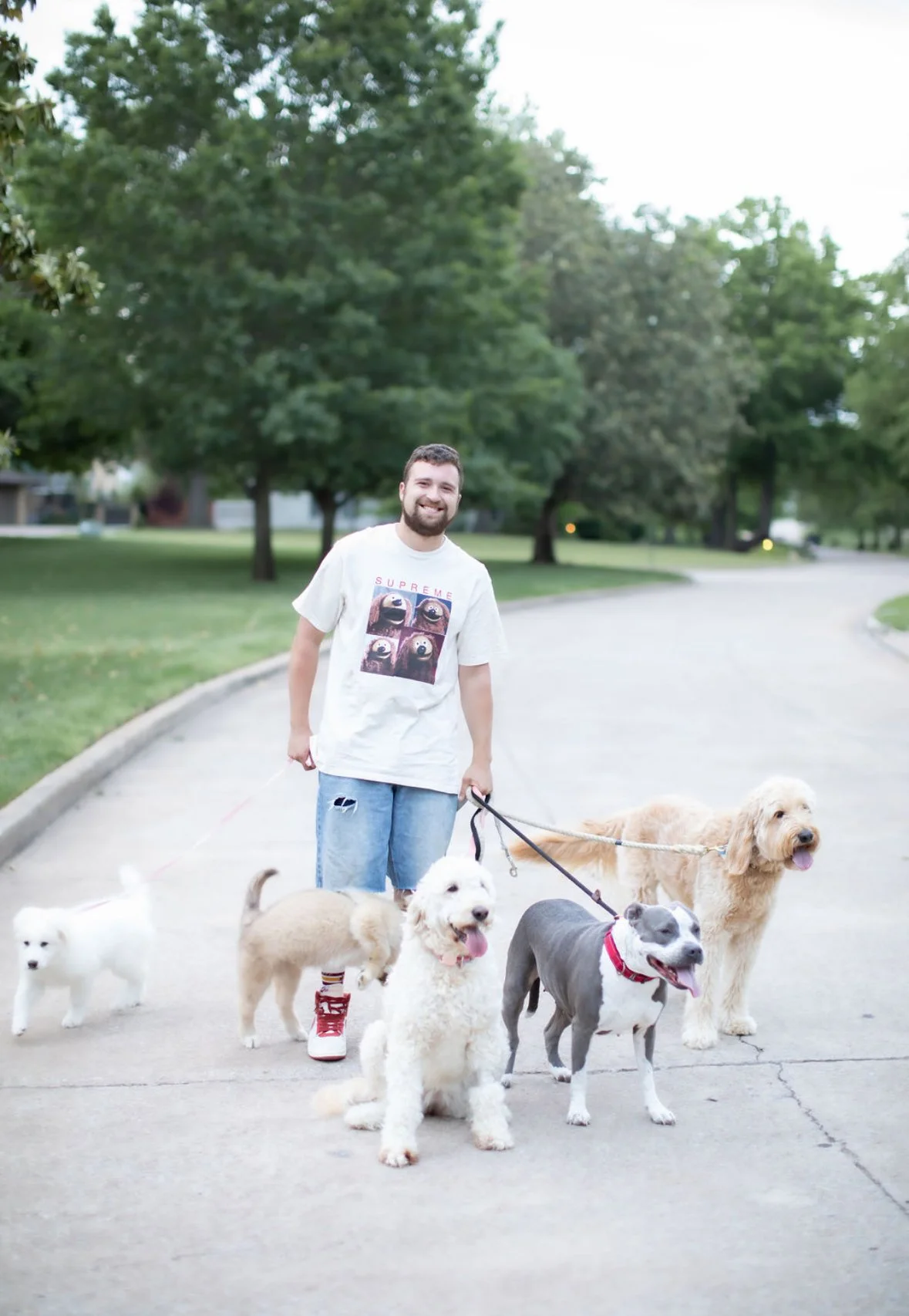 Husky NOMA Dog Walking Miles Zeligson Woof Pack Lobby Route 66 Market District