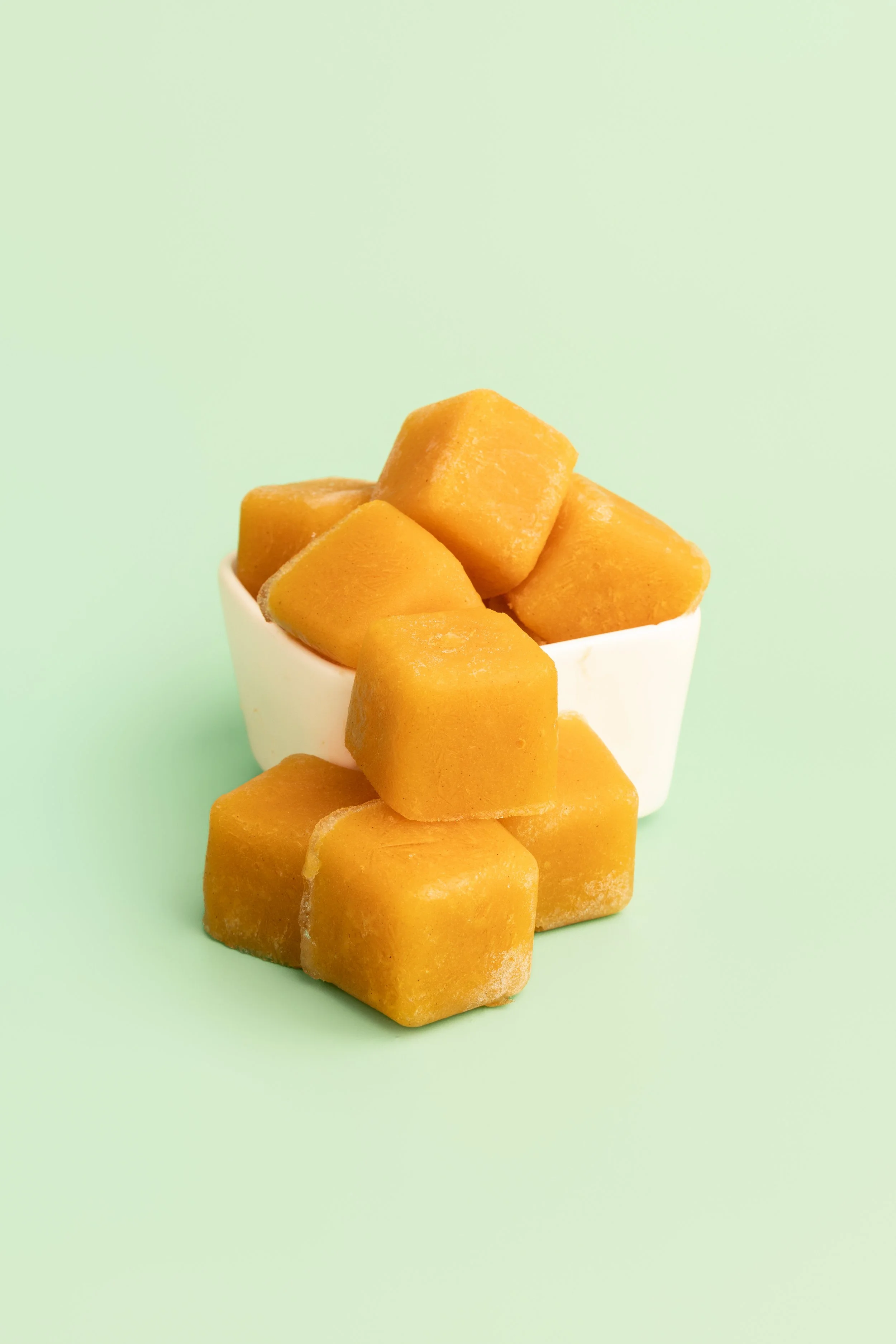 Cove Valley 2026-2467.jpeg