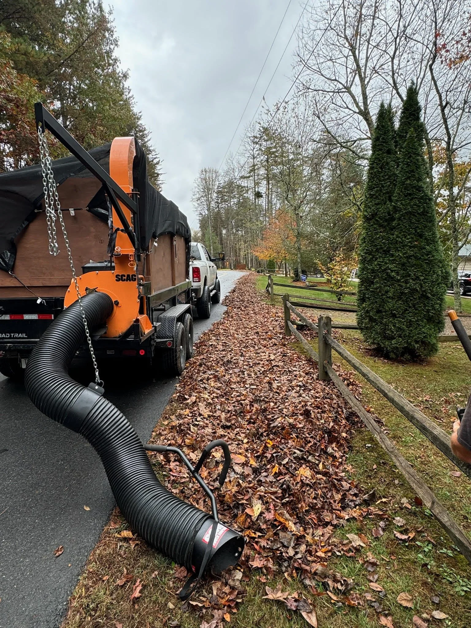 Property cleanup services