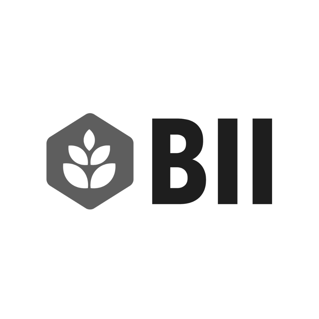 bii-logo-blue.png