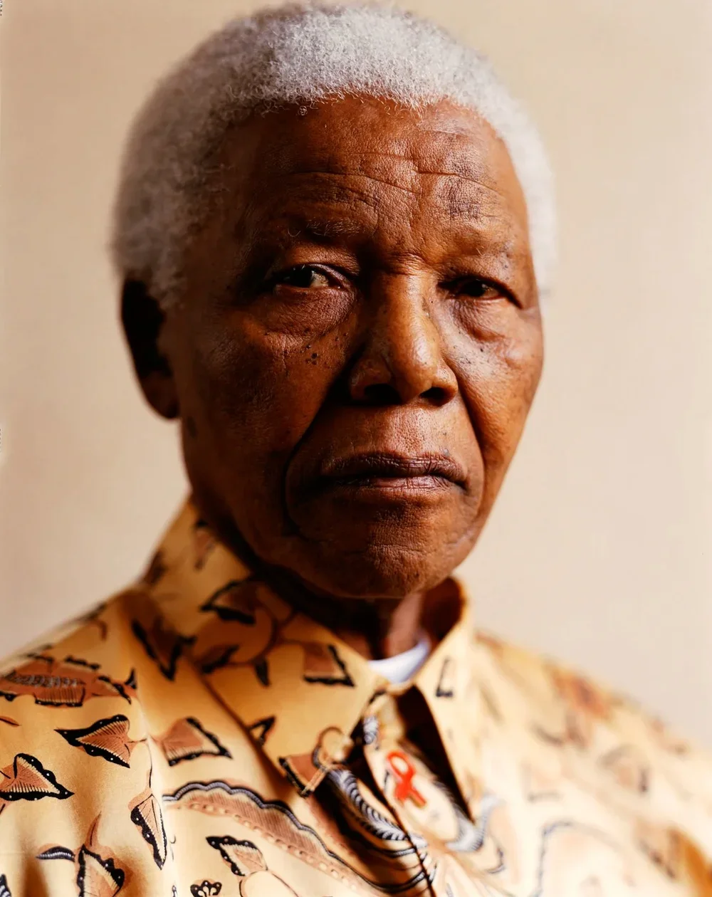 Nelson Mandela - Kwaku Alston