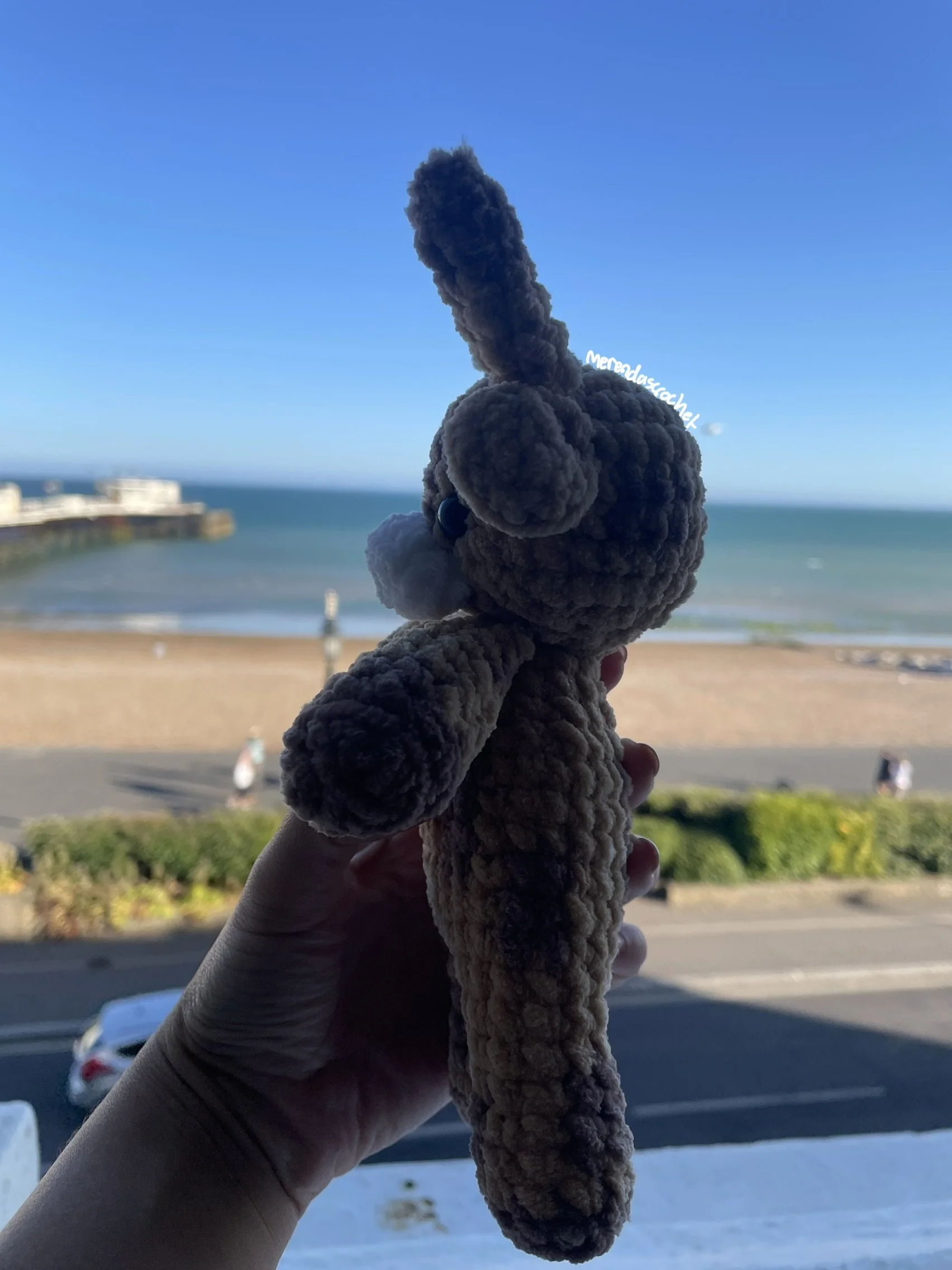 IMG_1039.jpeg