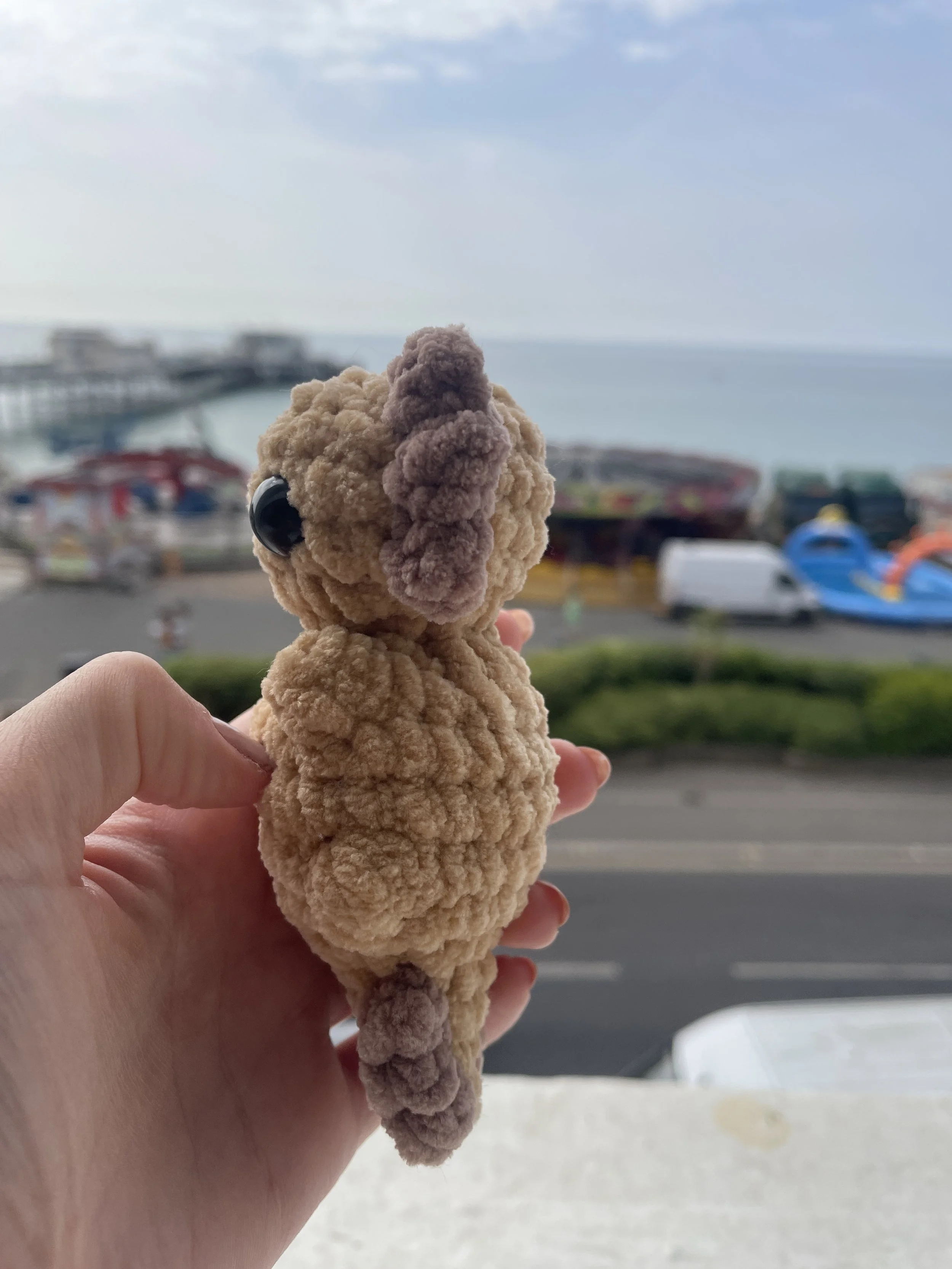 IMG_1349.jpeg