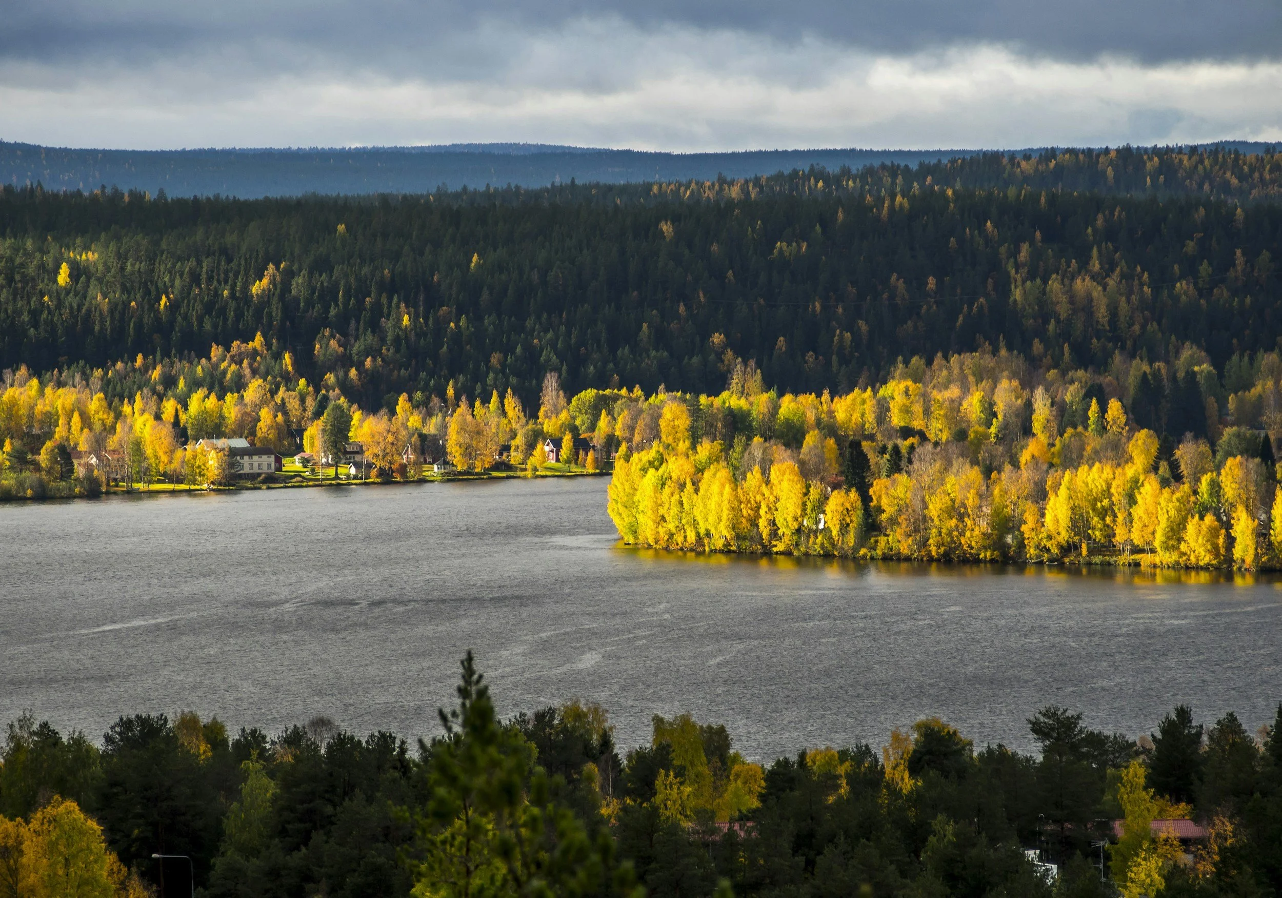 autumn arctic lakeland boreal forest trees finland river lake