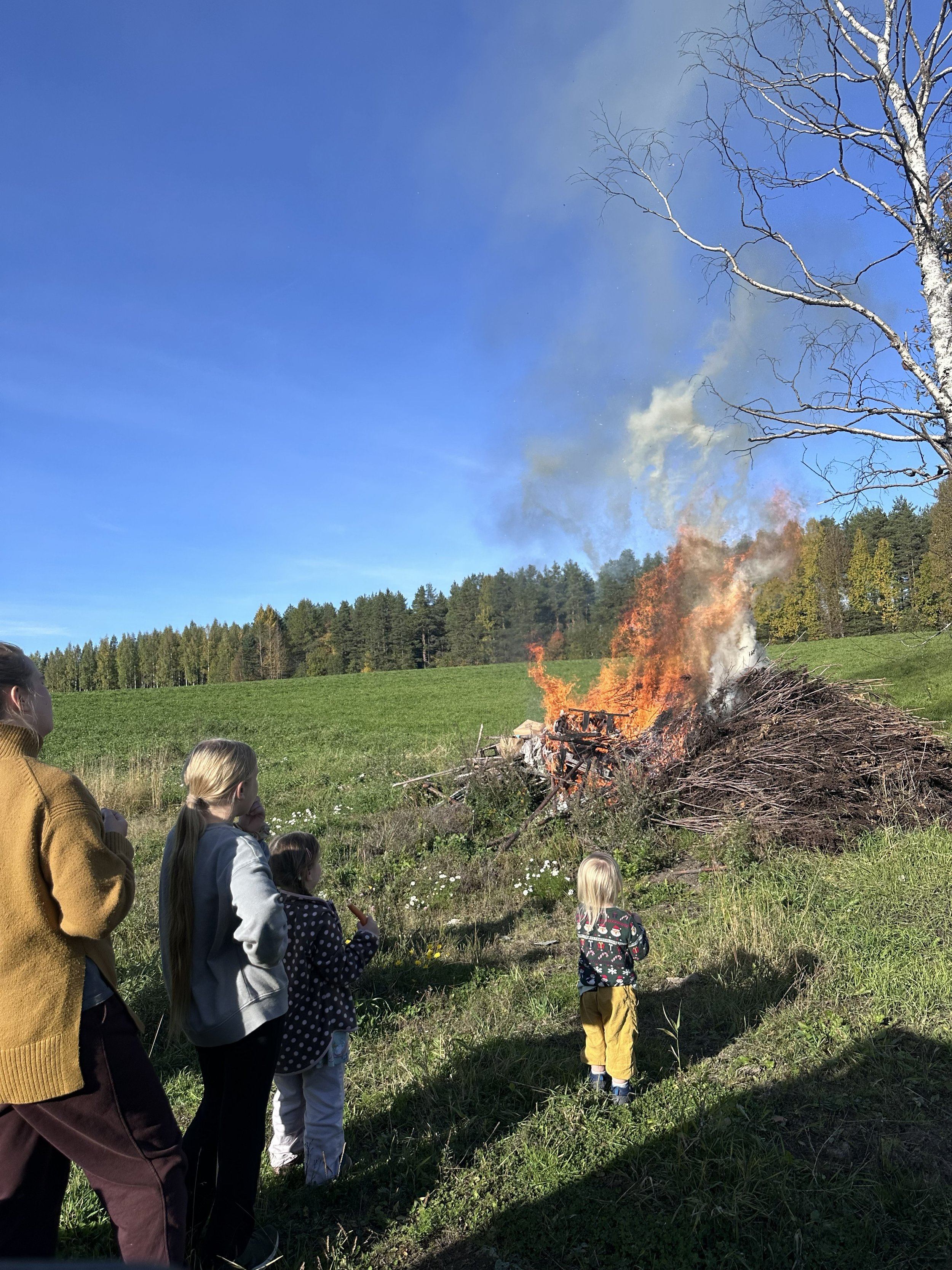 midsummer bonfire  juhannus sotkamo arctic lakeland finland