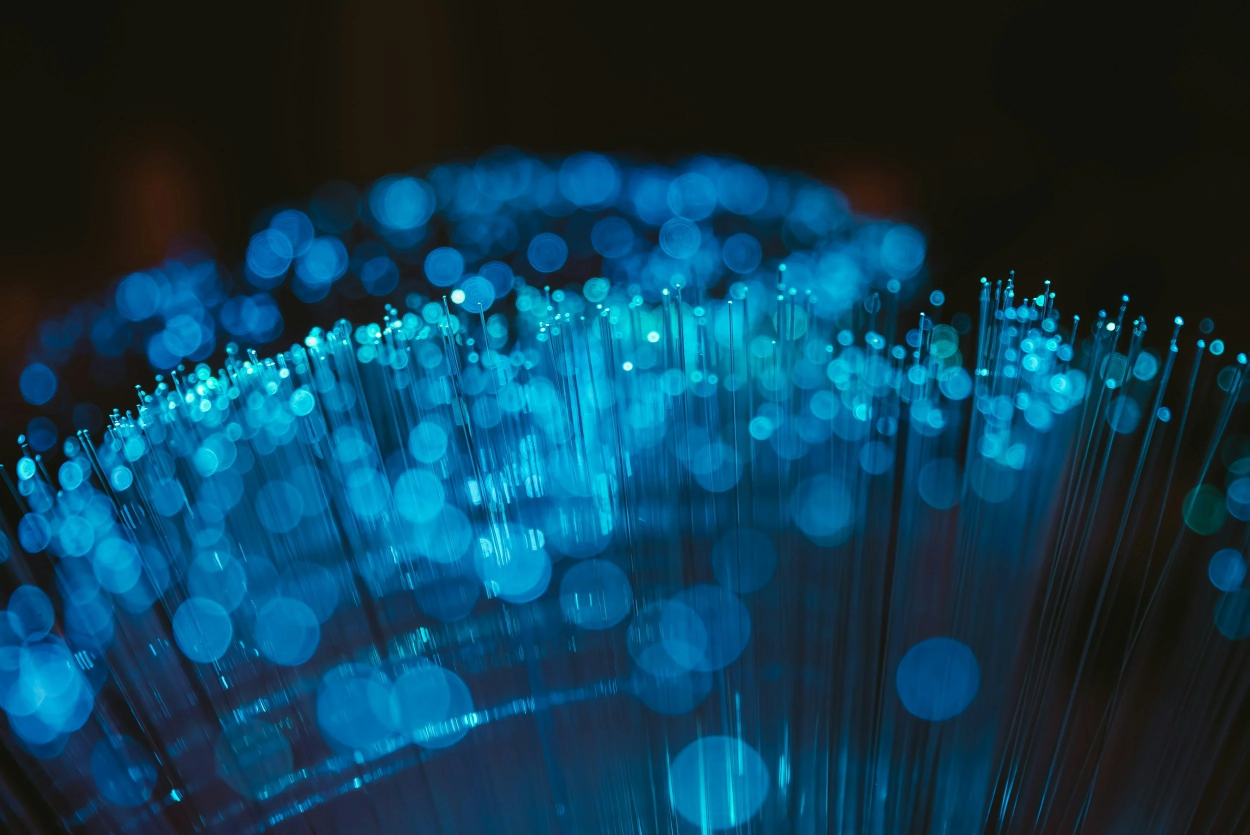Close-up of illuminated blue fiber optic cables with glowing tips in a dark environment.