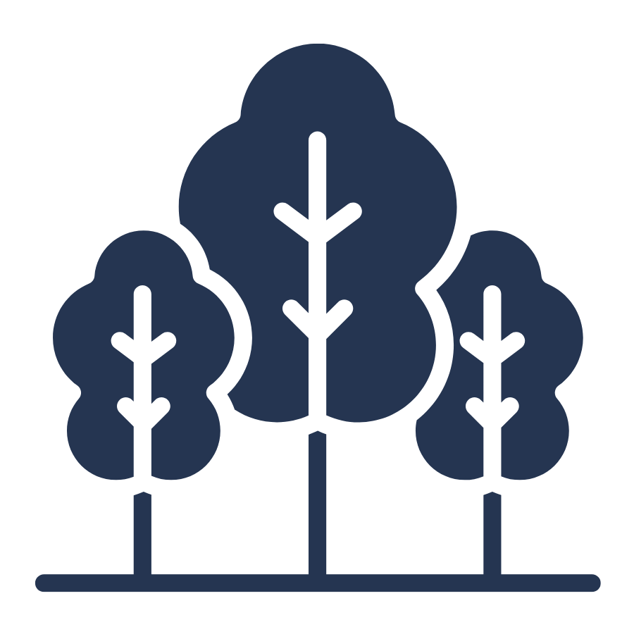 Simple illustration of three trees in different sizes, with multiple branches and no leaves.