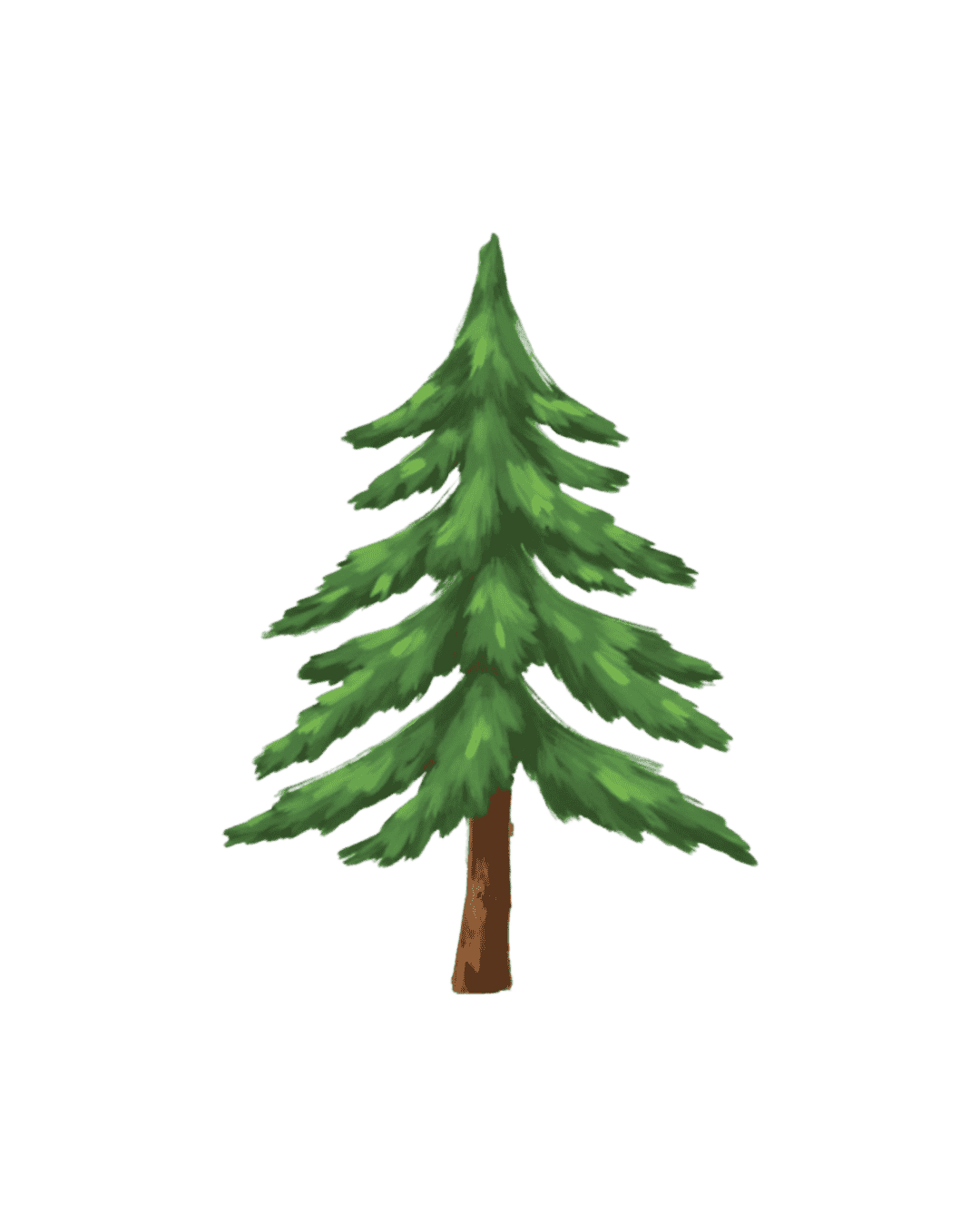 Illustration of a green pine tree with branches and a brown trunk.