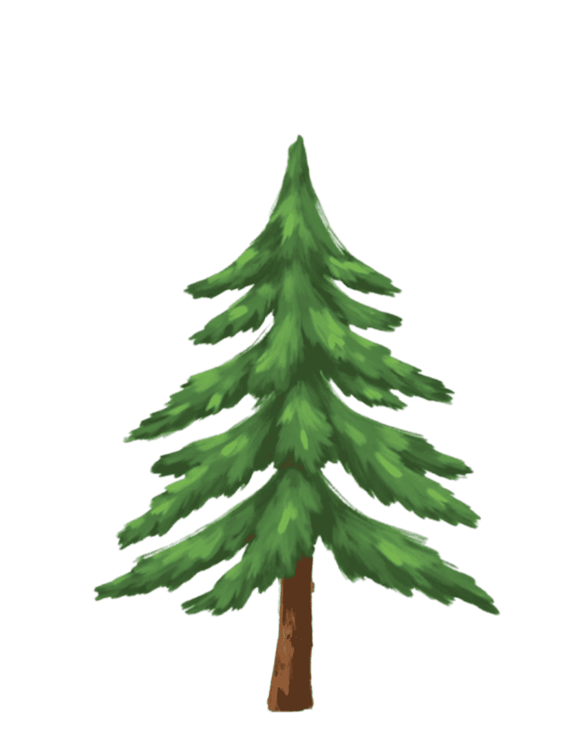 A cartoon illustration of a green pine tree with a brown trunk.