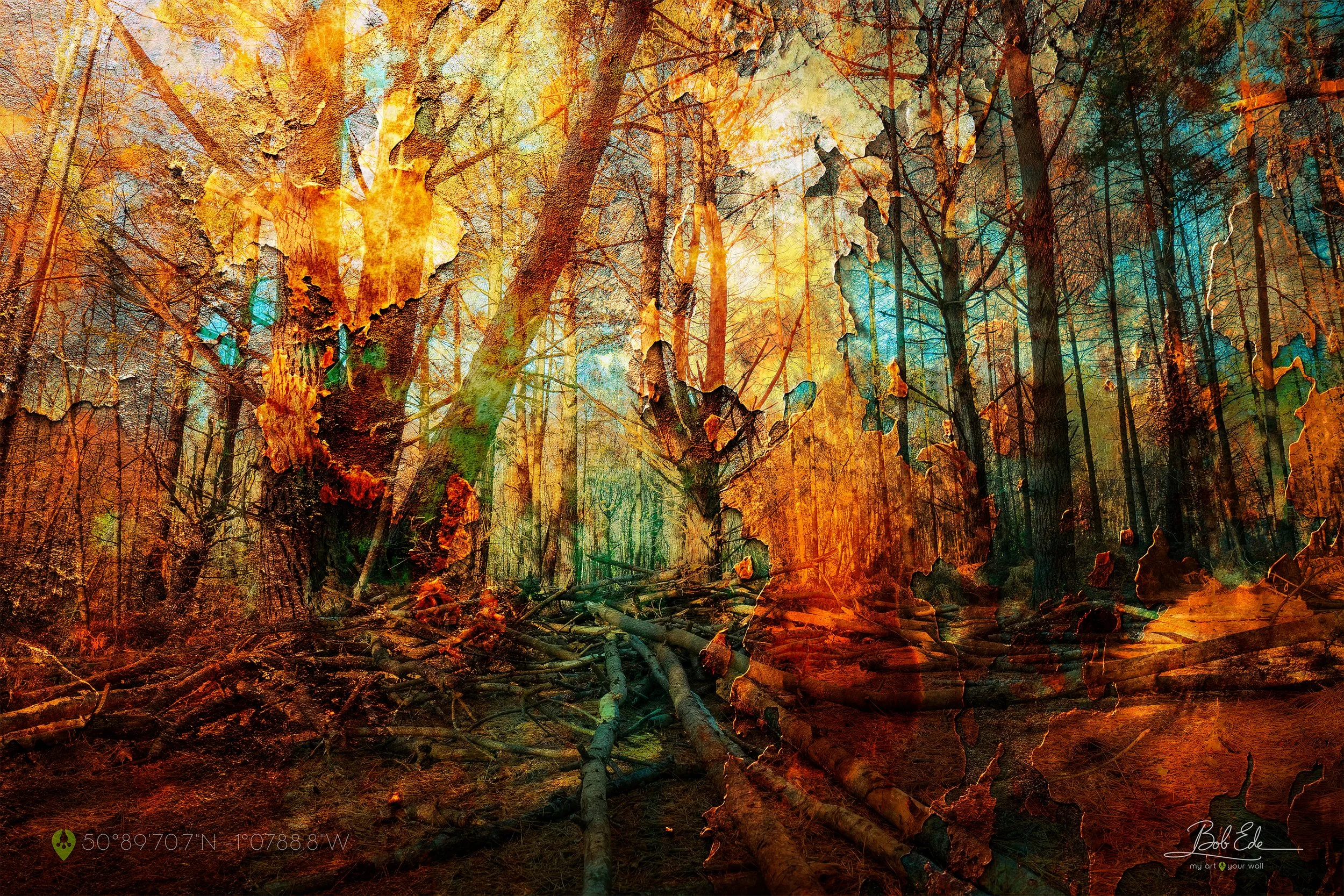creech-wood-denmead-woodland-trees-rust-fx-overlay-art-50%-size-3000-2000.jpg