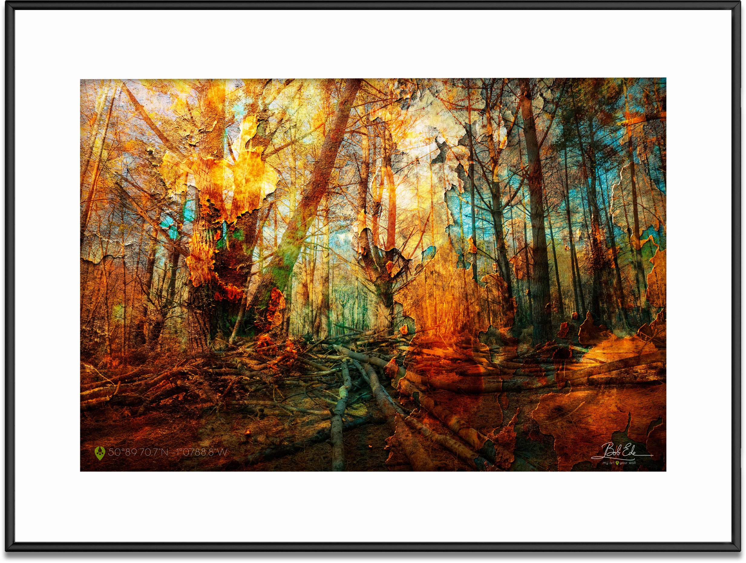 frame with single mat