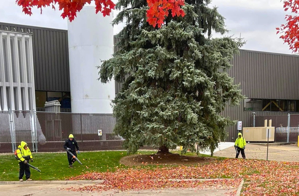 What Should Be Included in a Commercial Landscape Maintenance Plan?
