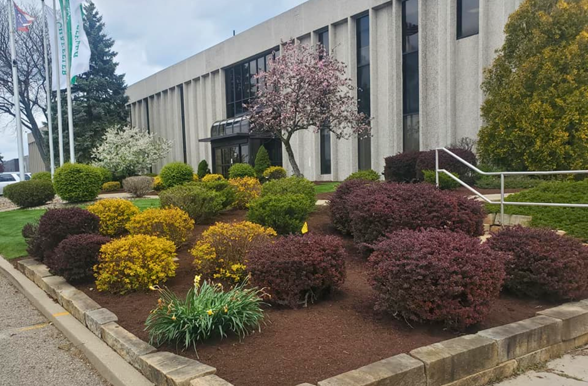 When Is the Best Time to Plan Landscape Enhancements?
