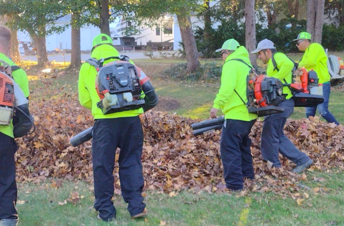 blowing leaves