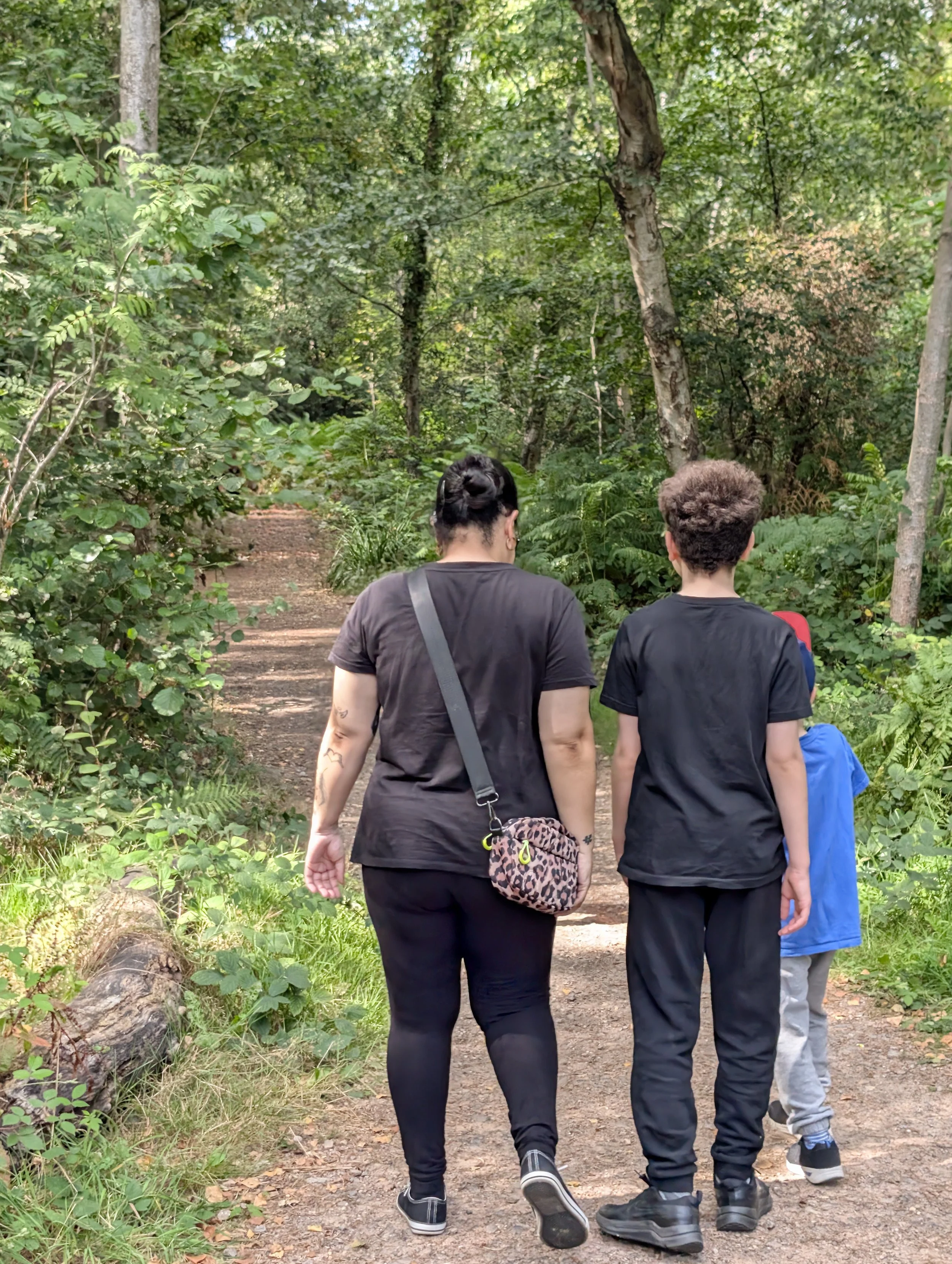 Photograph of an adult and two children walking along a woodland path, viewed from behind. The group walks side by side through a green, tree-lined environment, with dappled light and natural surroundings.
