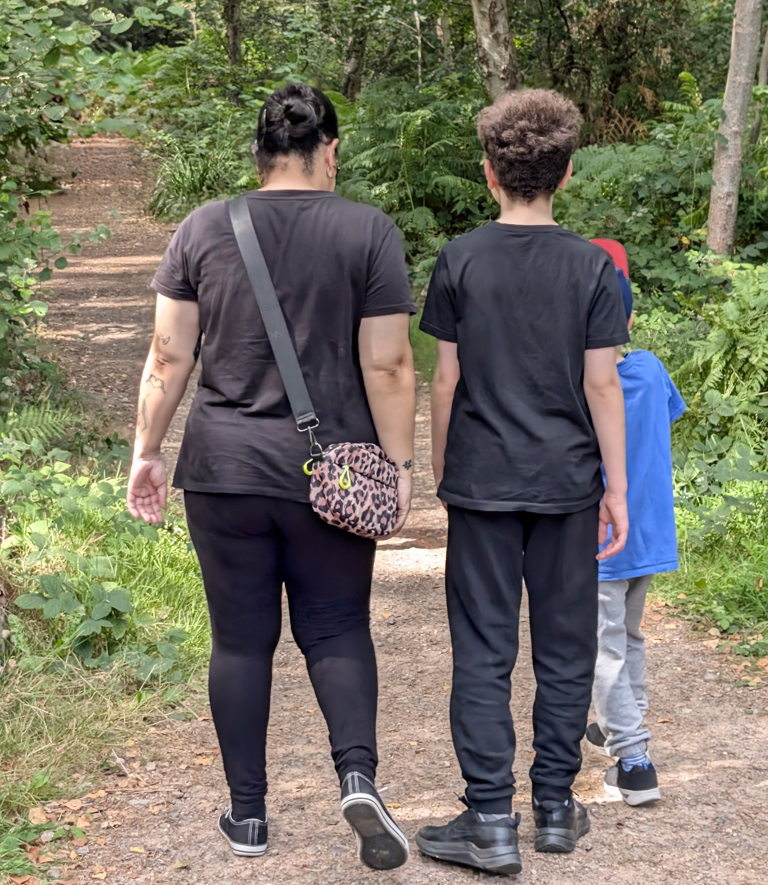 Photograph of an adult and two children walking along a woodland path, viewed from behind.